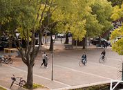 A lively park scene in Toulouse, France with people biking and walking under lush trees.