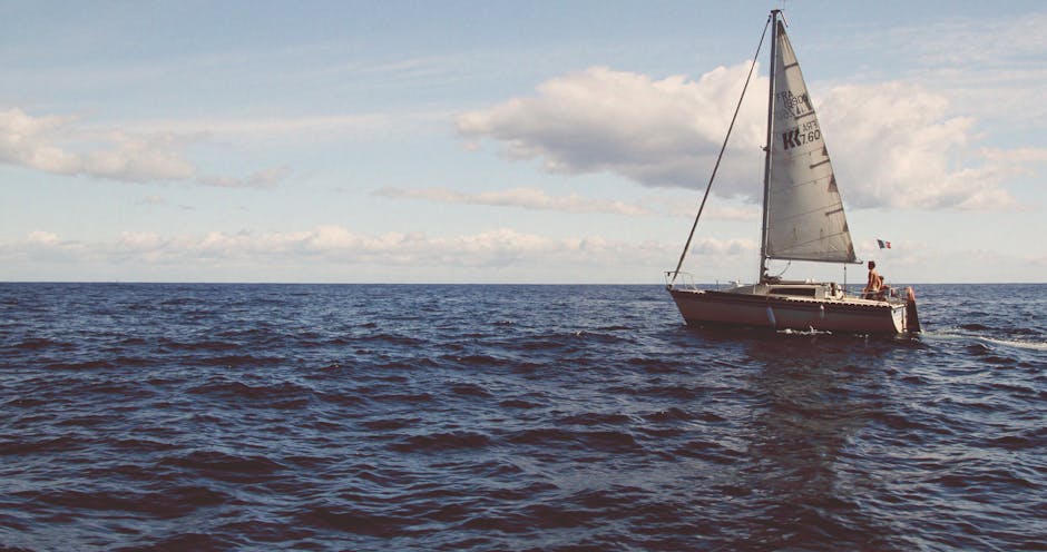 adventure, beach, boat