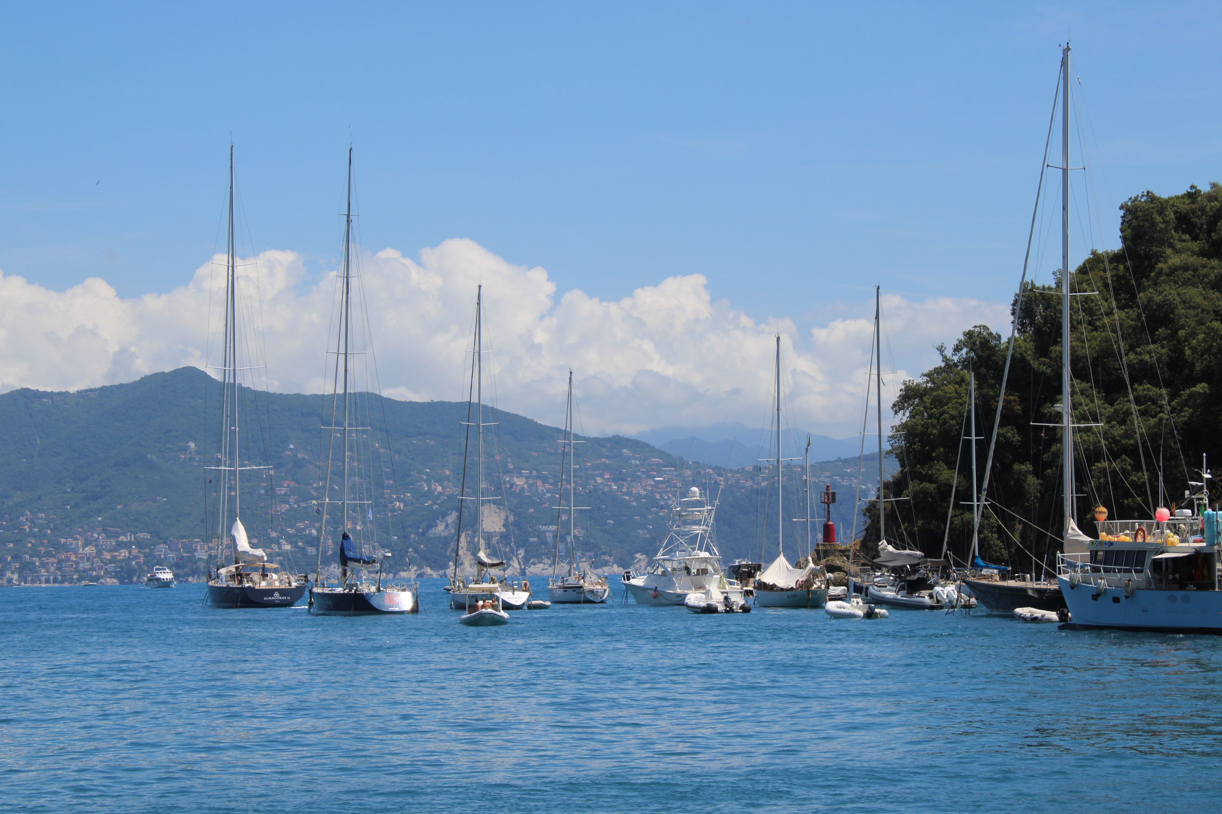 Best Tour to Figarolo Island with the Possibility to Observe Dolphins Review: A Complete Guide to This Unforgettable Sardinian Adventure Review 2026 - A picturesque view of yachts anchored in Portofino harbor, surrounded by lush hills under a clear blue sky.