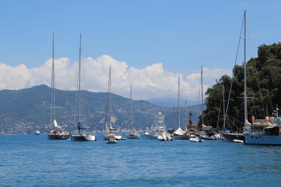 Best Tour to Figarolo Island with the Possibility to Observe Dolphins Review: A Complete Guide to This Unforgettable Sardinian Adventure Review 2026 - A picturesque view of yachts anchored in Portofino harbor, surrounded by lush hills under a clear blue sky.