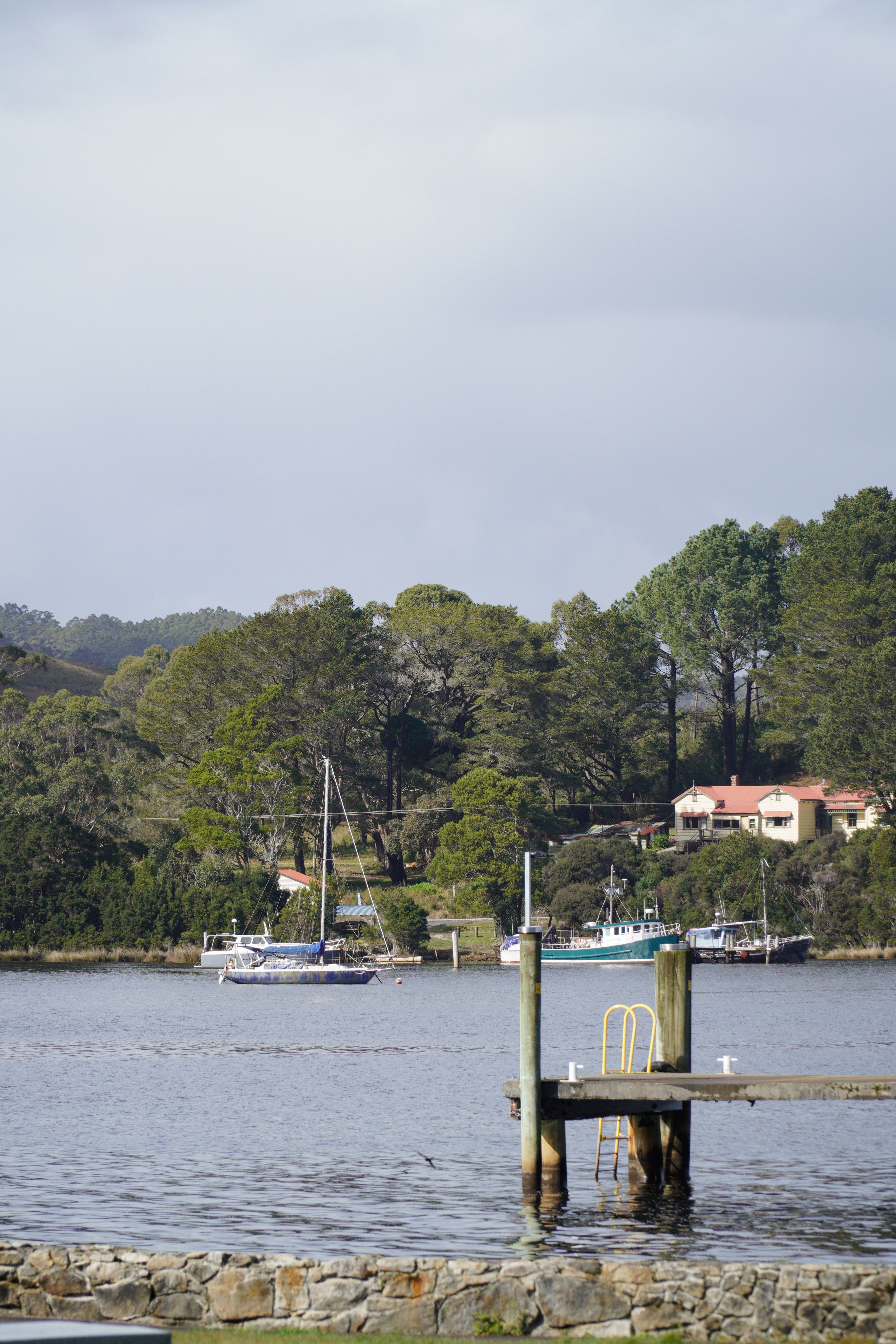 Australia: qué políticas estabilizan precios de energía y apoyan industriavista del río en Strahan, Tasmania, con barcos atracados cerca de un frondoso bosque.