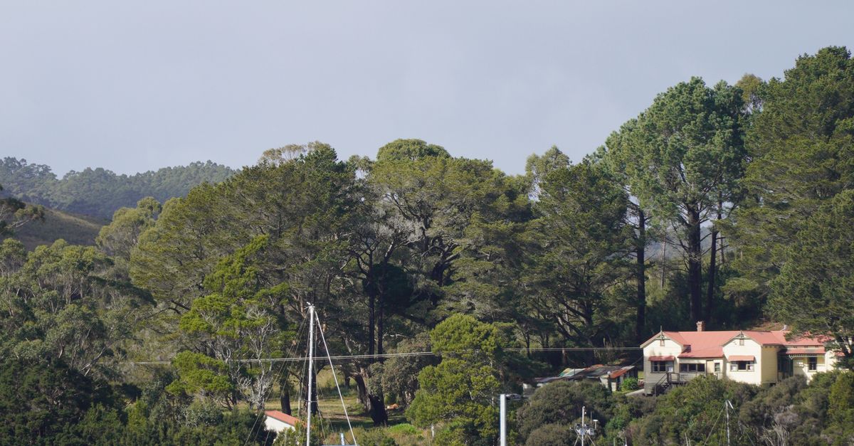 Australia: qué políticas estabilizan precios de energía y apoyan industriavista del río en Strahan, Tasmania, con barcos atracados cerca de un frondoso bosque. Australia: qué políticas estabilizan precios de energía y apoyan industriavista del río en Strahan, Tasmania, con barcos atracados cerca de un frondoso bosque.