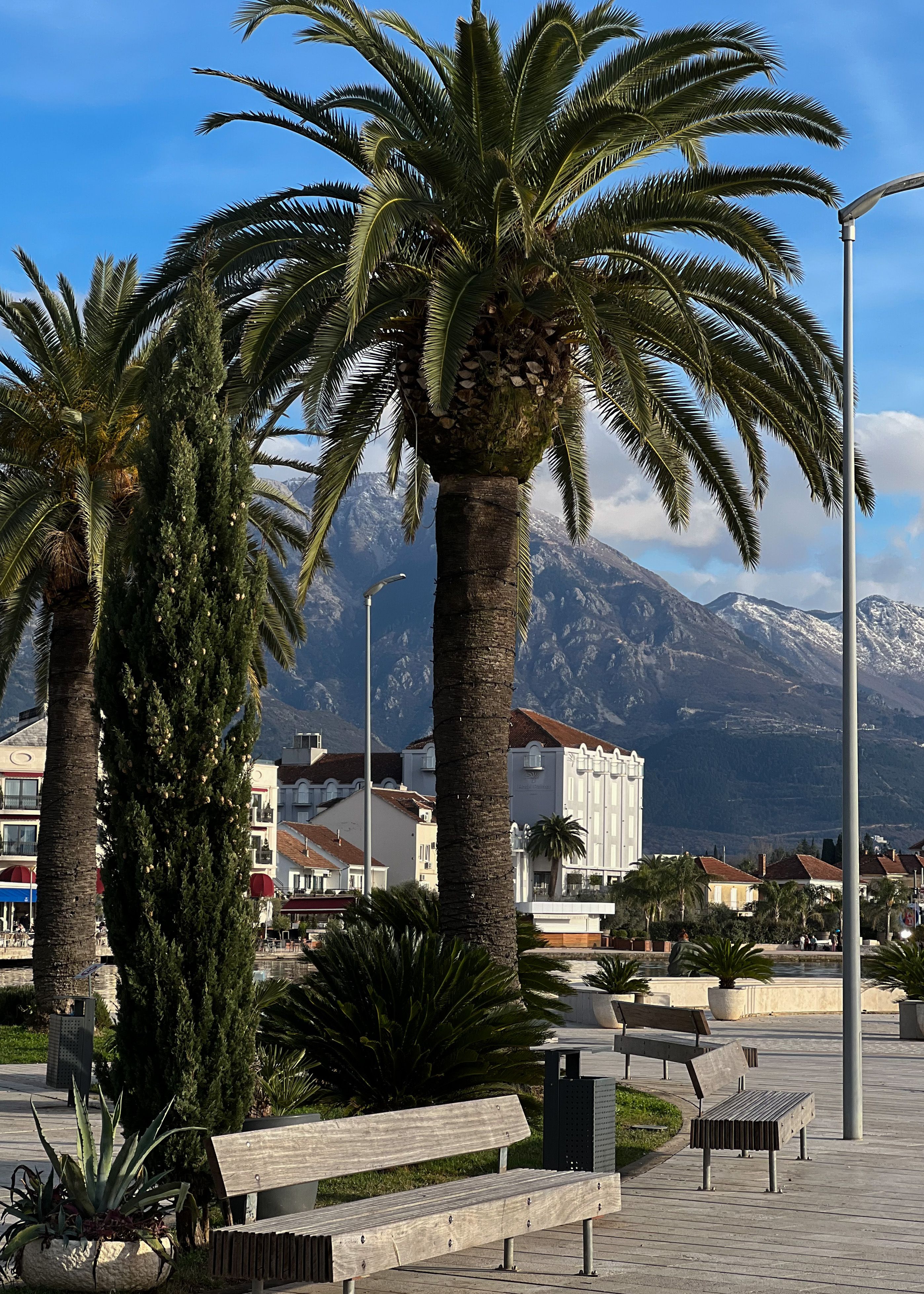 Idyllic view of Montenegro's coastal promenade with palm trees and mountains in the background.