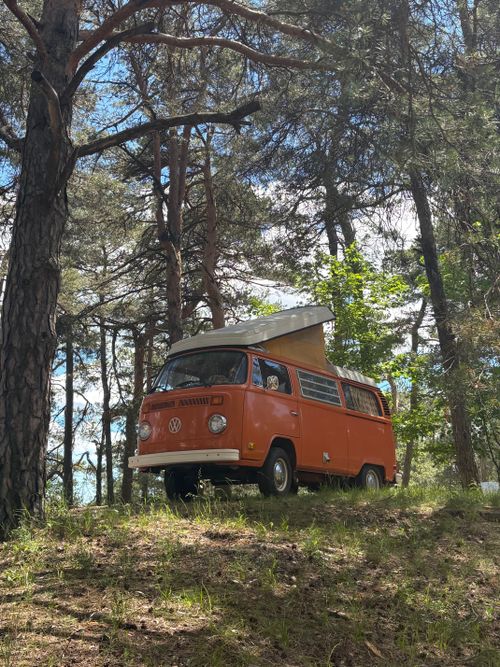 Free A classic orange campervan parked in a scenic forest in Clarington, Ontario, Canada. Stock Photo
