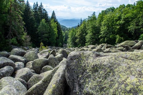 Free Dramatic view of a rocky landscape surrounded by lush green forest and distant mountains. Stock Photo