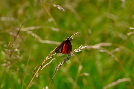 cinnabar vermilion red mineral