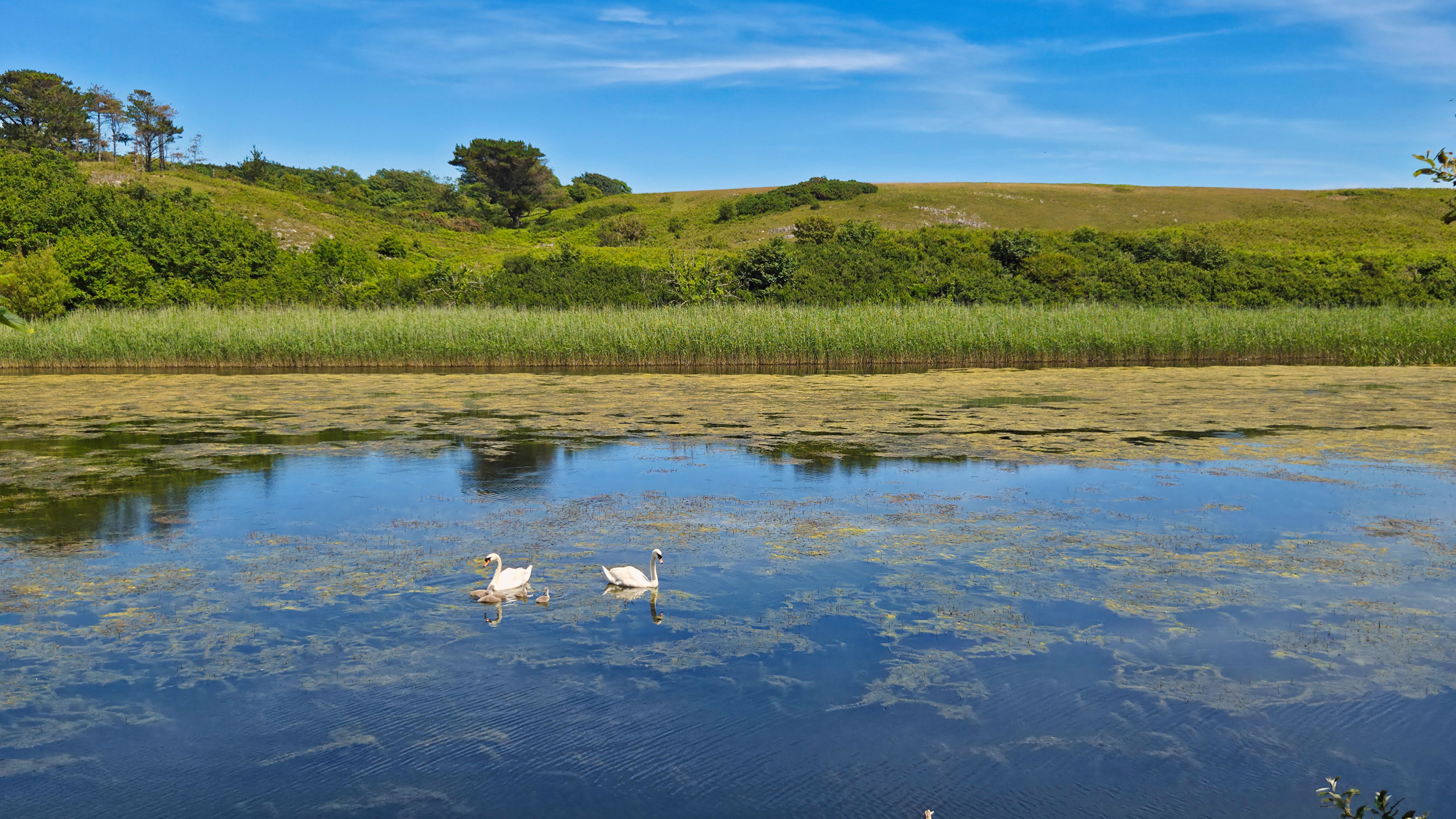 freshwater lake