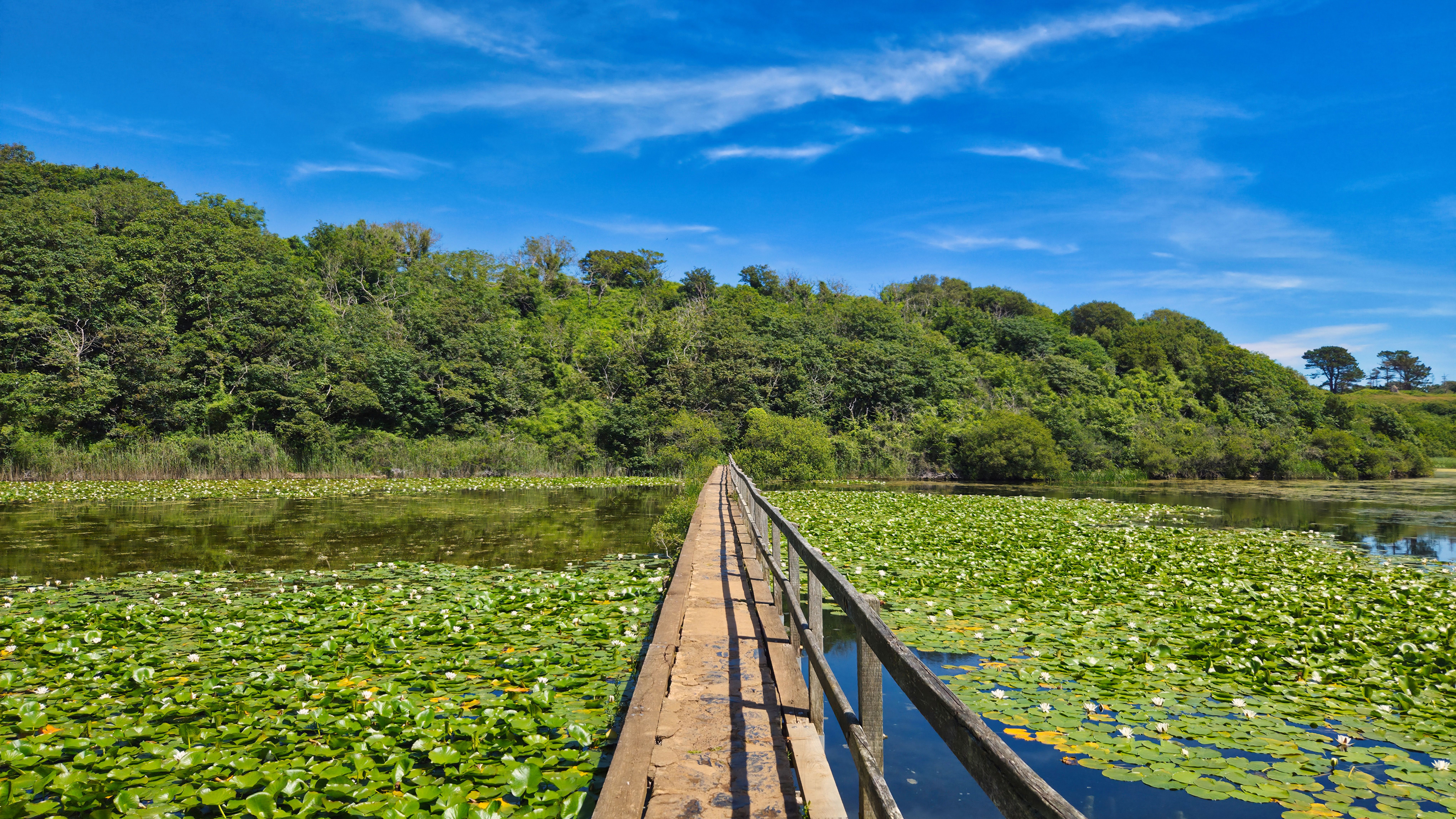 4 Day Harmonising Retreat: Transform, Ground & Renew in Wales 3