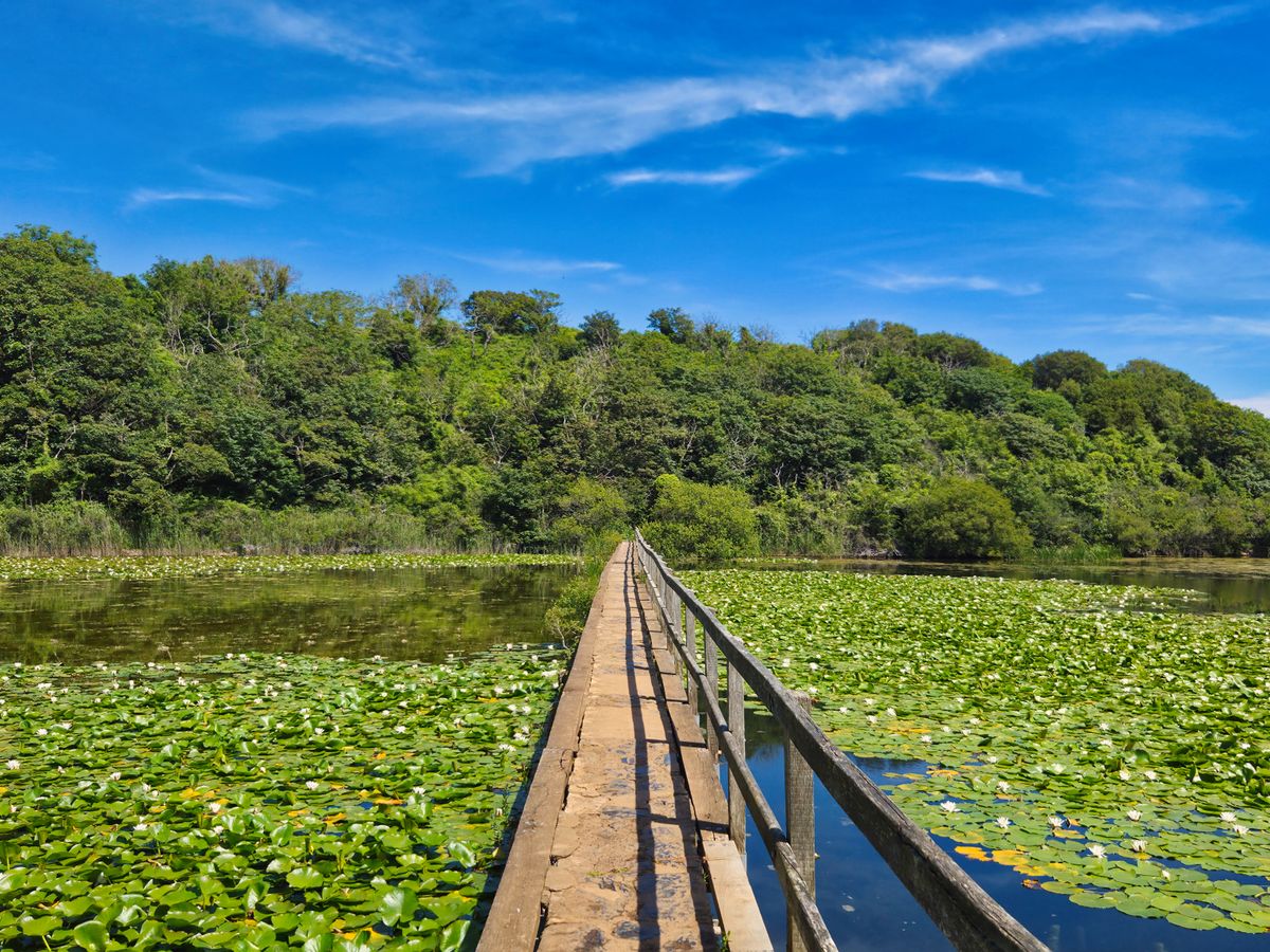 4 Day Harmonising Retreat: Transform, Ground & Renew in Wales 3