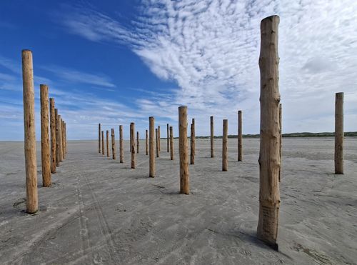 Free Wooden pilings on a sandy beach under a blue sky at Sankt Peter-Ording, Germany. Stock Photo