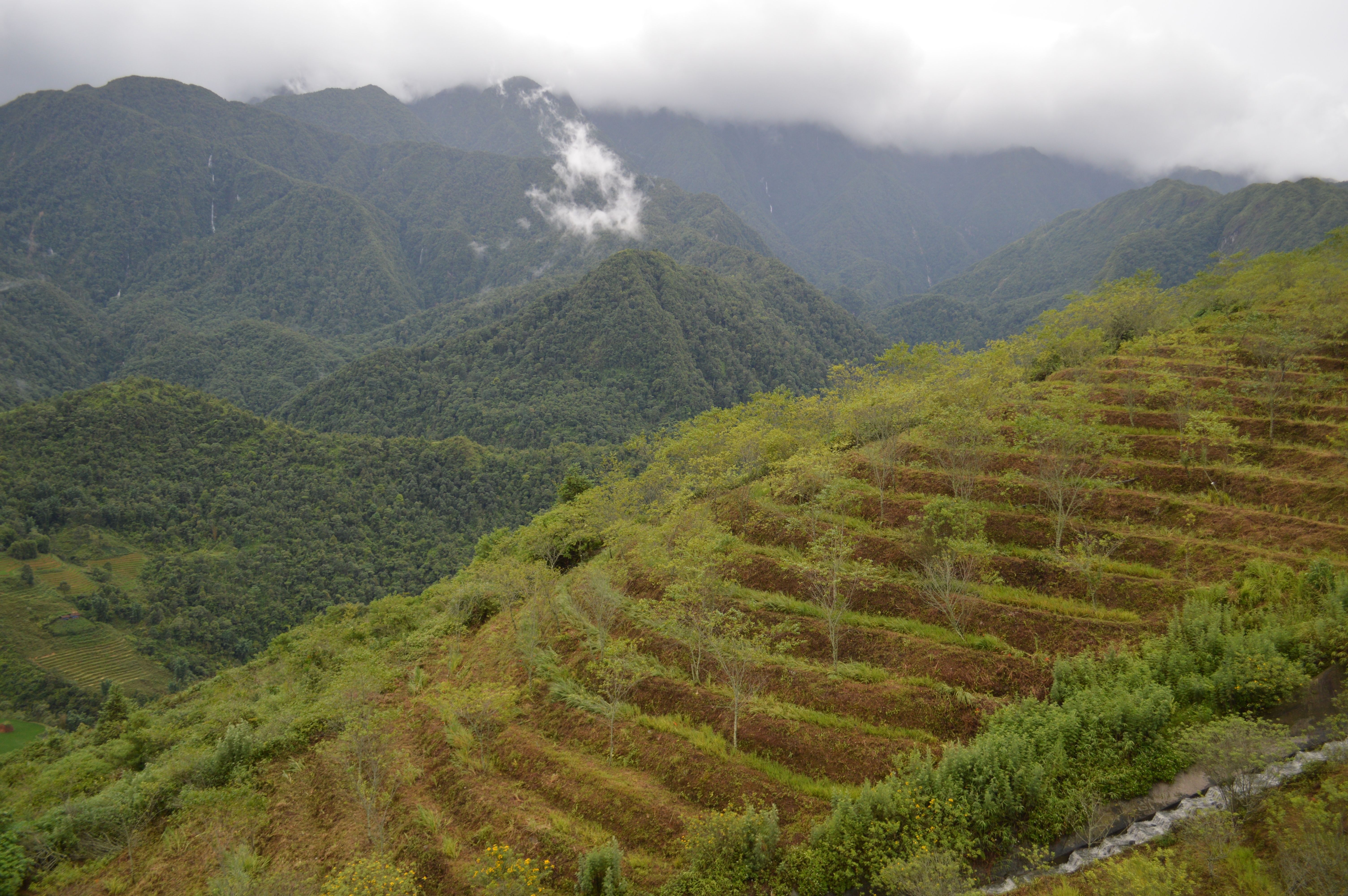 Green hills above Machakos town with terraced farms on the slopes