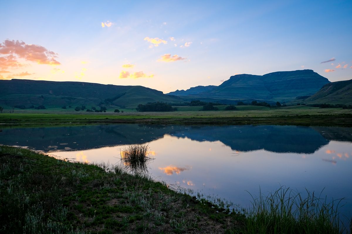 Cederberg Essentials
