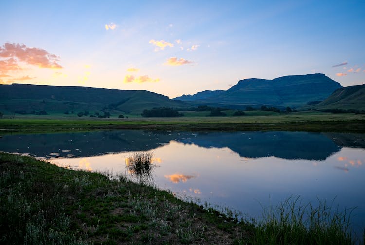 Green Grass Near Lake