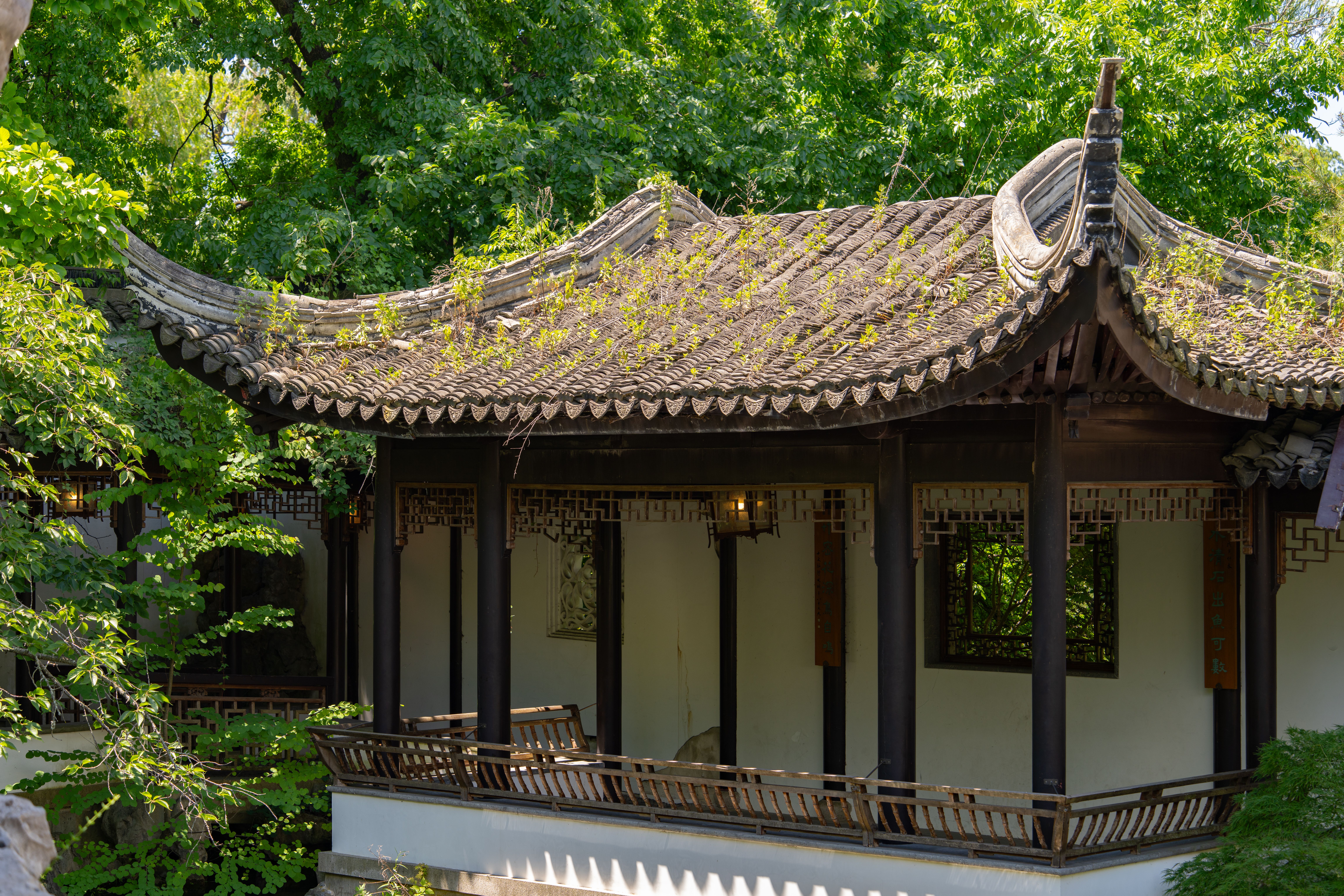 Fence and Decking Painting in Horns Green — woodwork brushed to a crisp, smooth line
