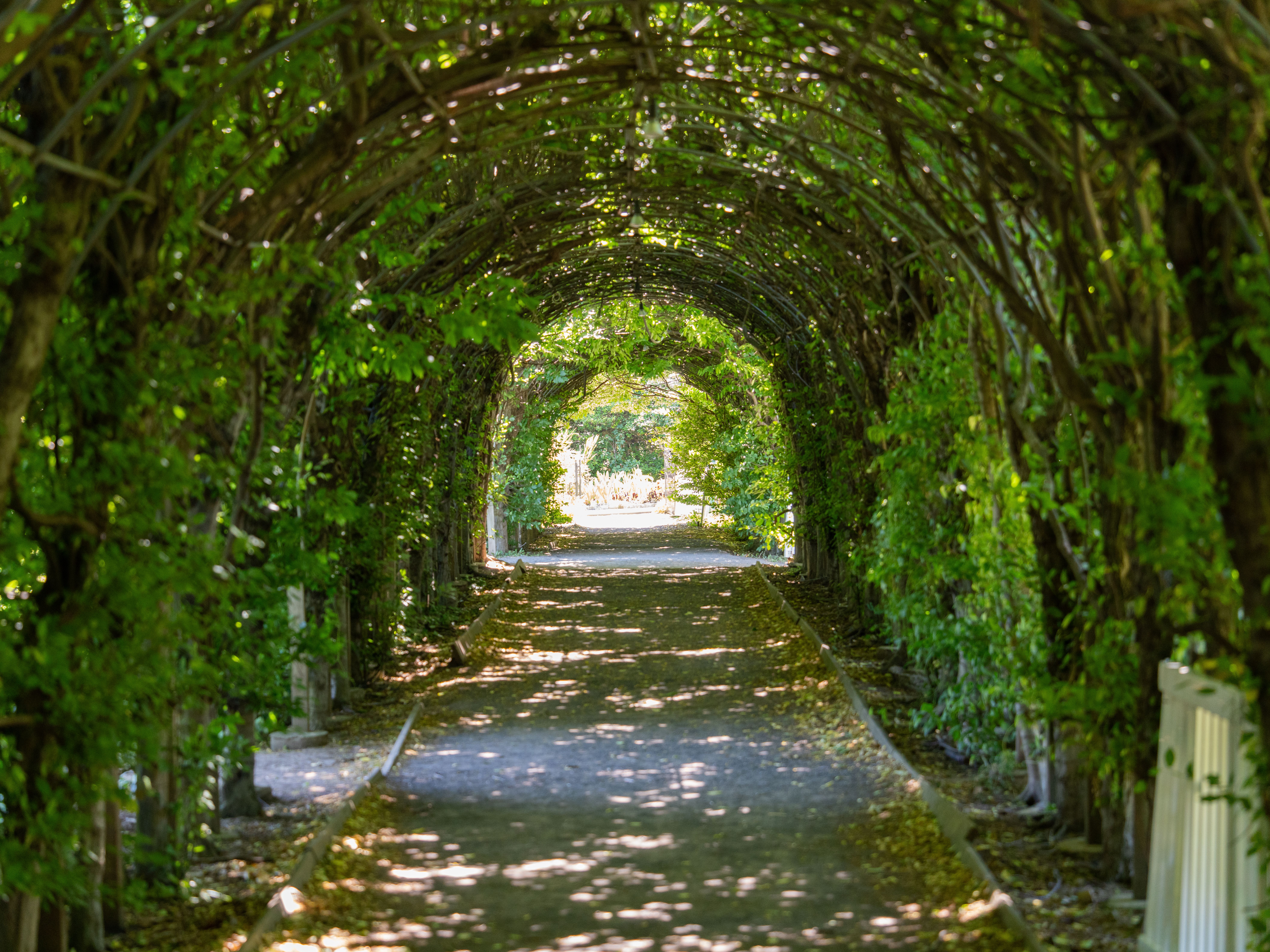 Parque del Retiro con sus jardines