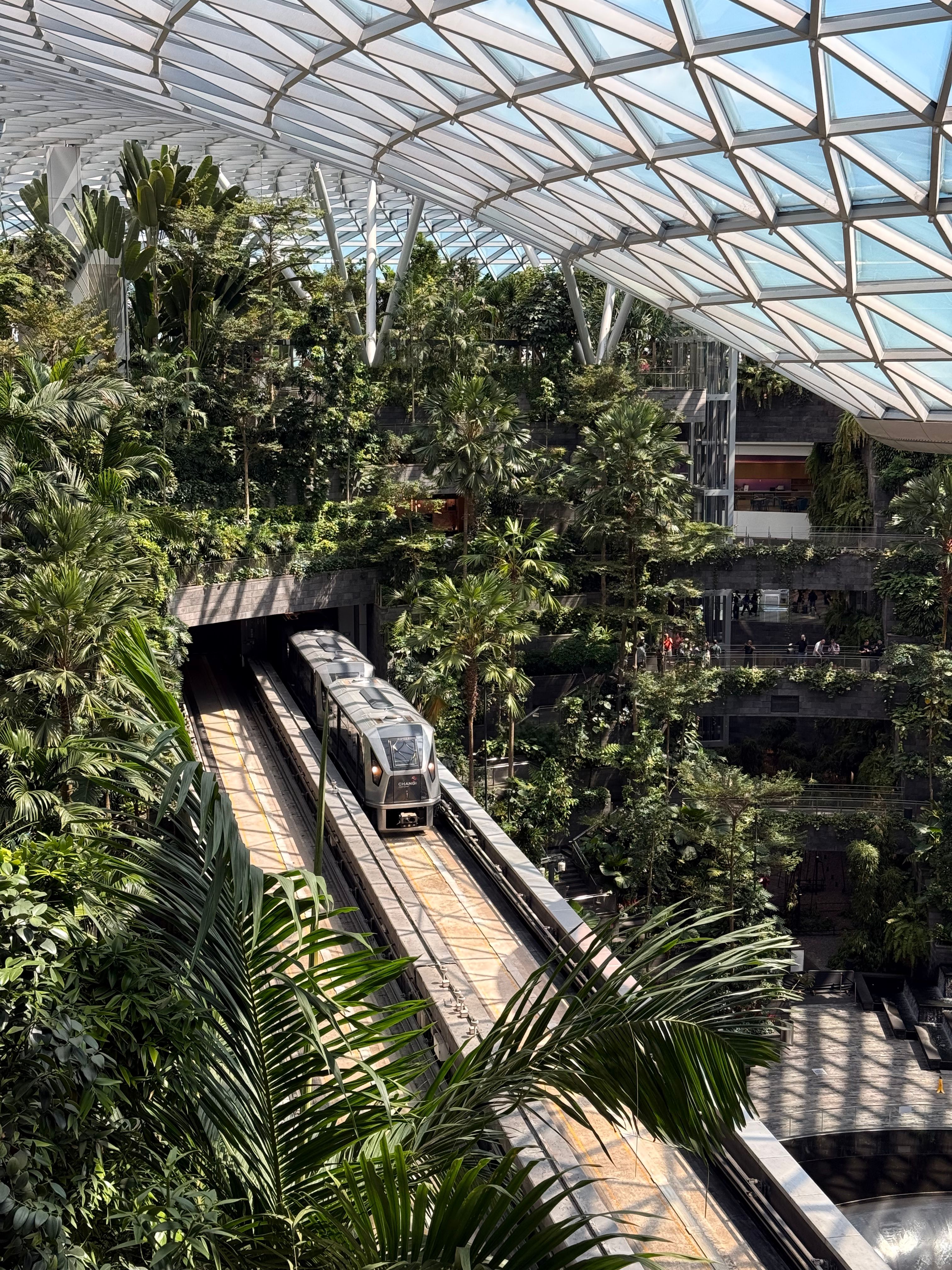 Modern train traverses through an indoor tropical garden under a glass ceiling in Singapore.