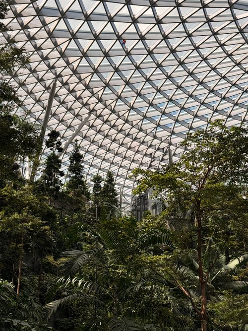 Free Captivating view of tropical plants under geometric glass dome at Jewel Changi. Stock Photo