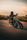 ride