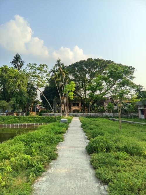 Free Peaceful walkway surrounded by vibrant greenery and tall trees under a clear blue sky. Stock Photo