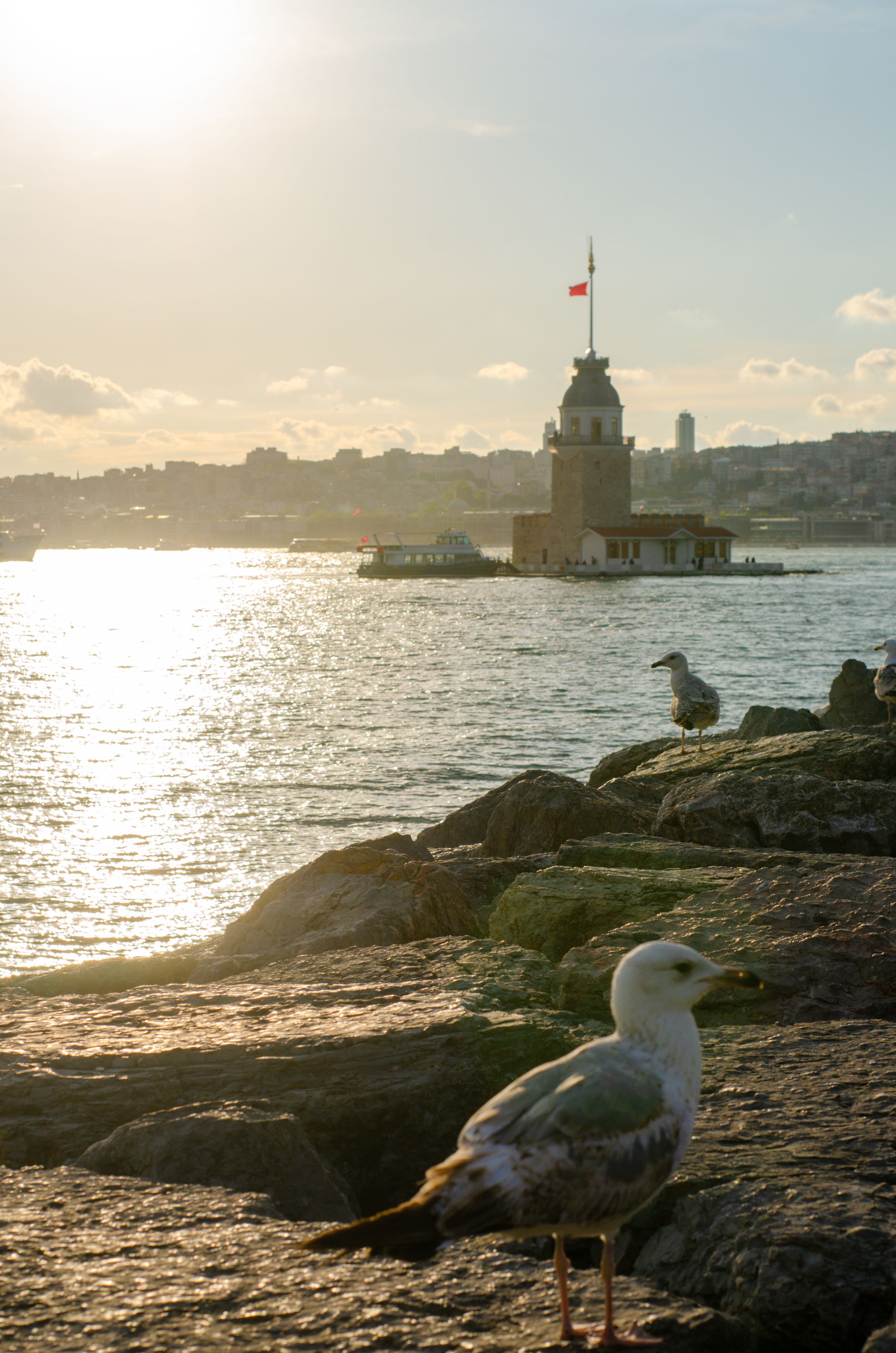 Serene sunset at Maiden's Tower, Istanbul with seagulls and city skyline.