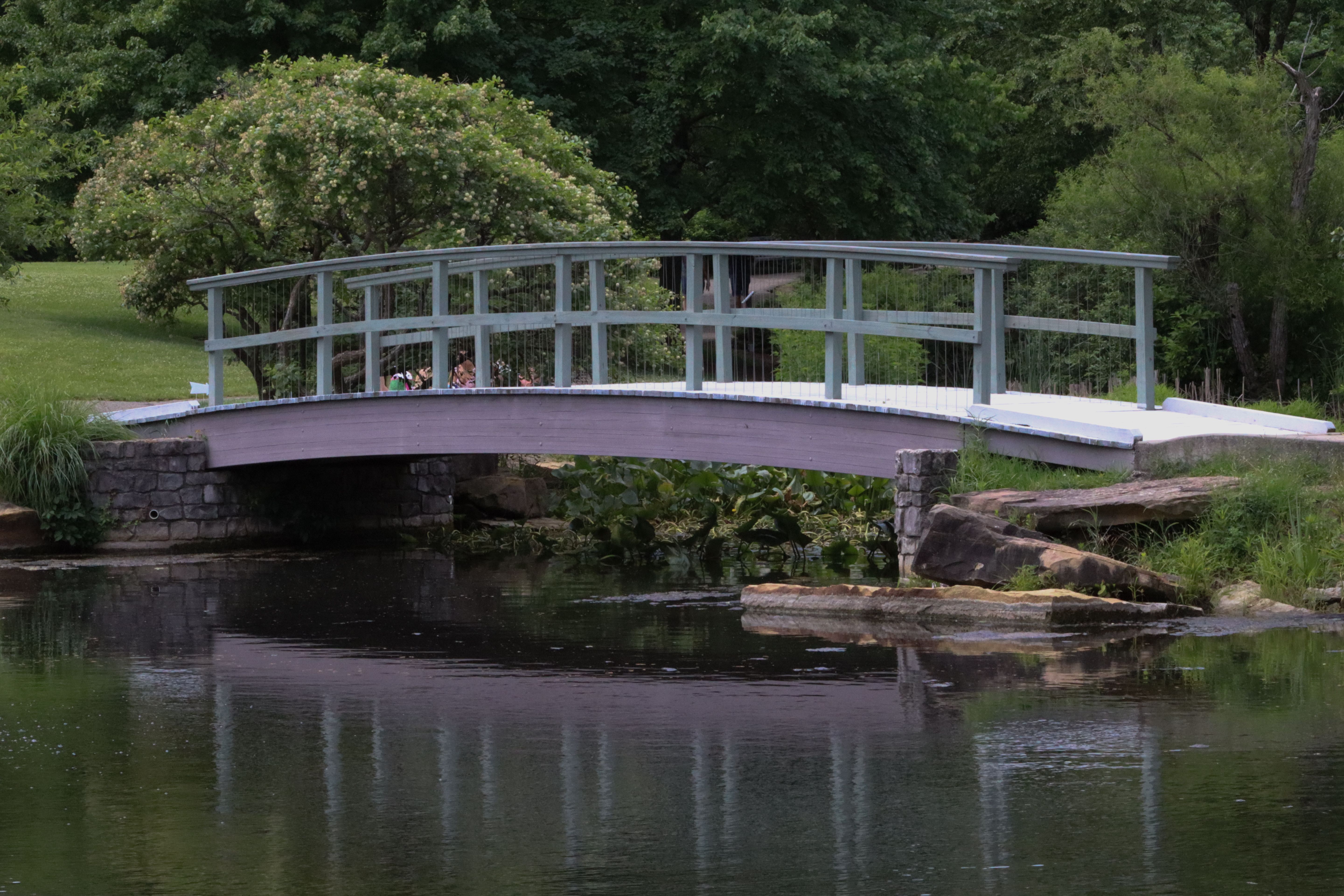 A tranquil scene featuring a wooden bridge spanning a peaceful pond surrounded by lush greenery.
