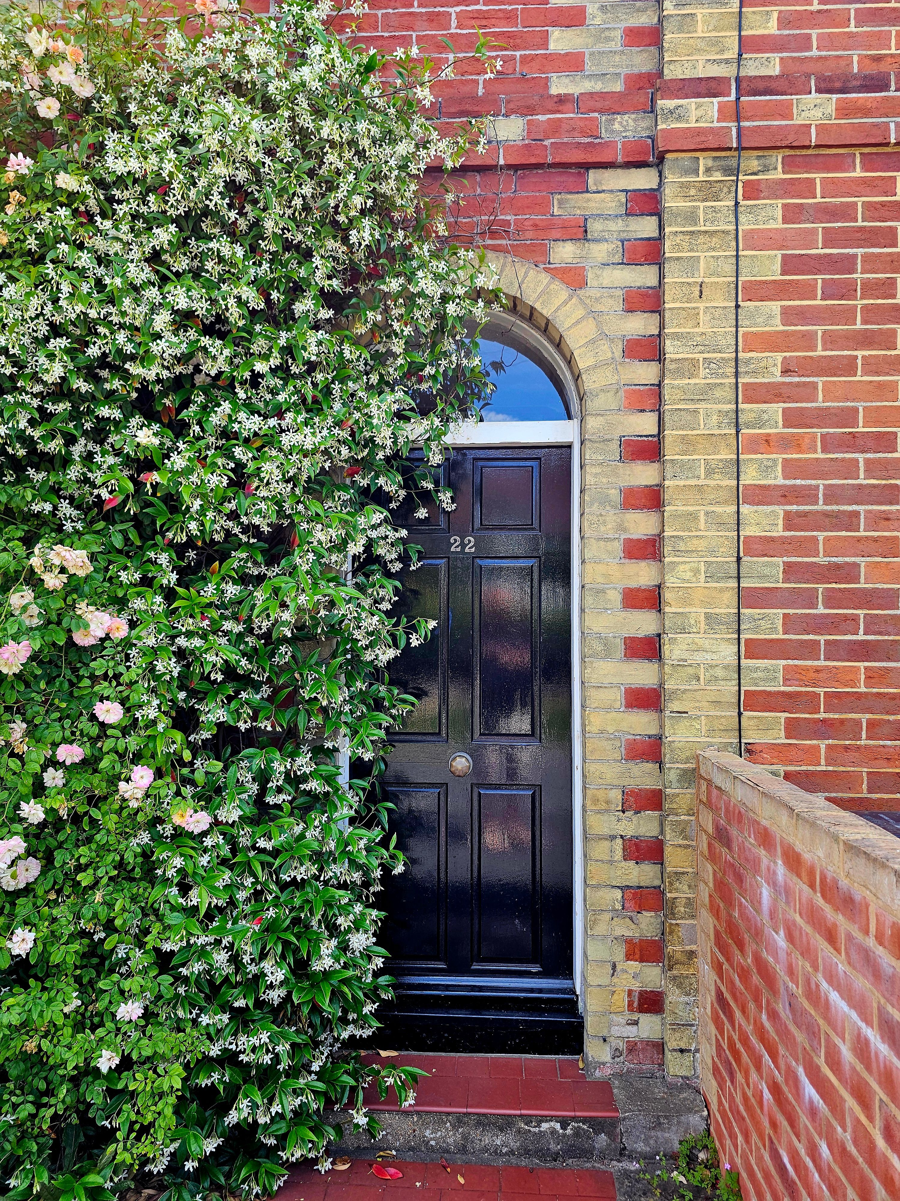 Beautiful black door framed by flowering vines on a brick house exterior.
