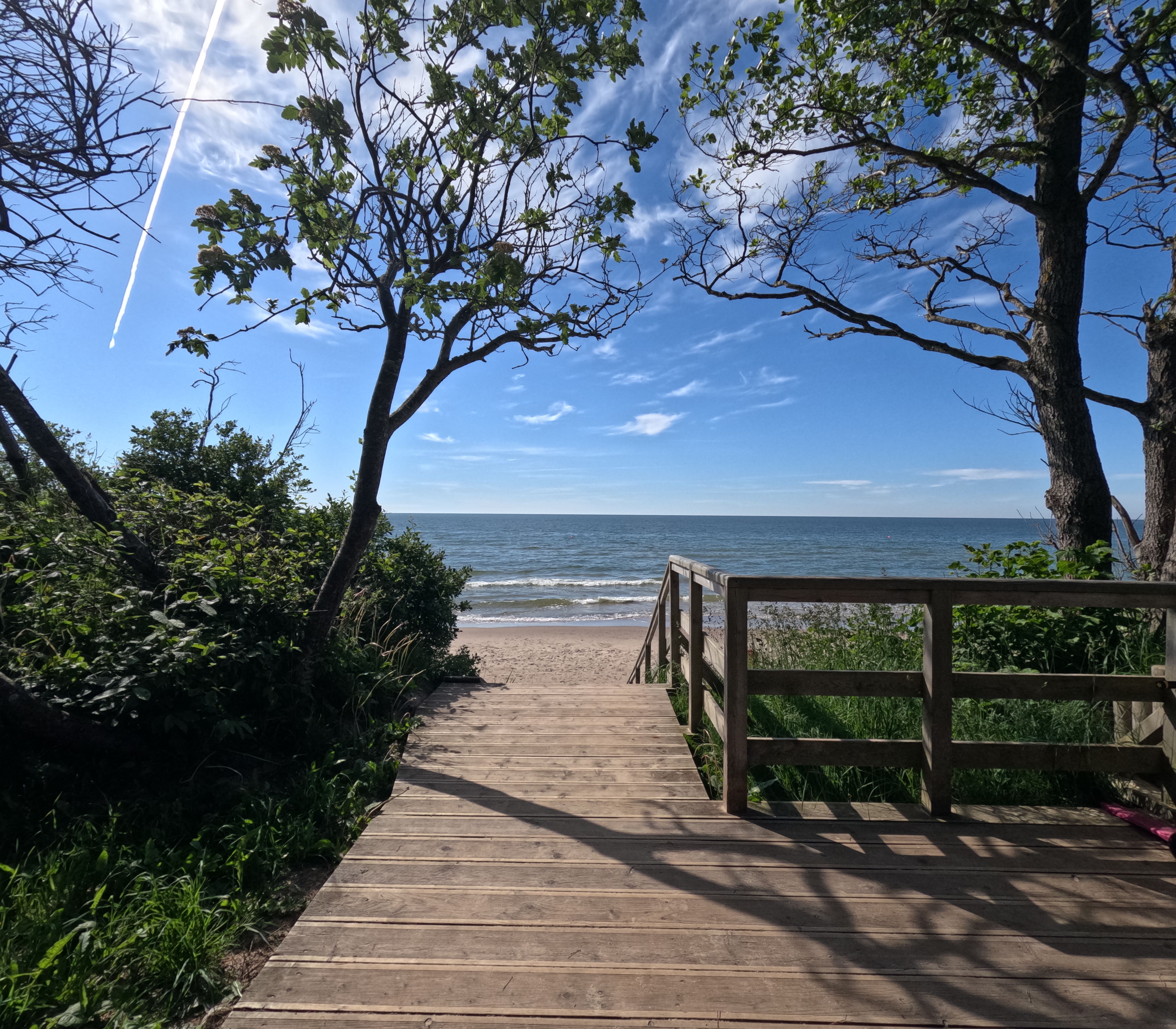 things to do in pinellas county this weekend