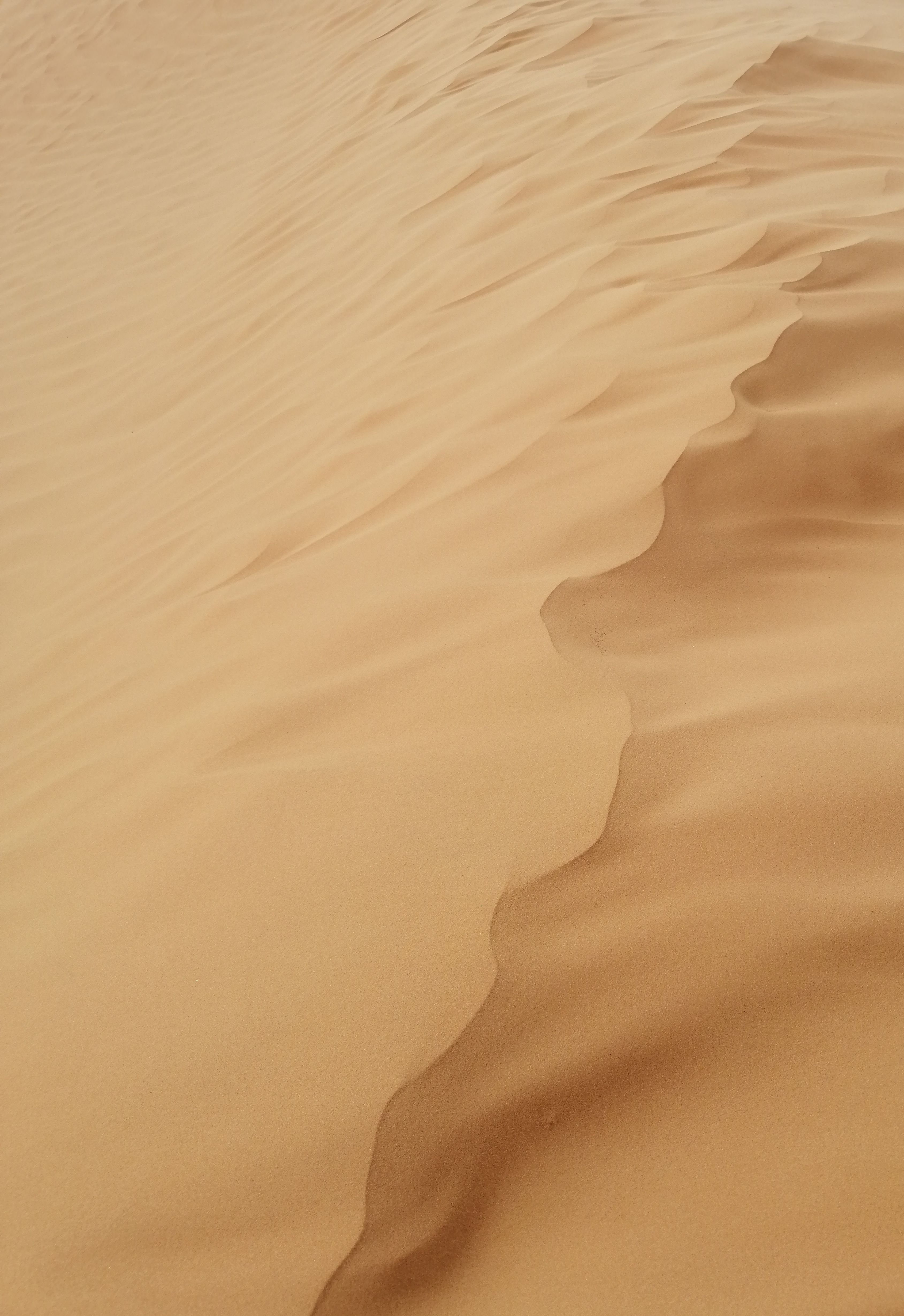 Rippling sand dunes in the Gobi desert