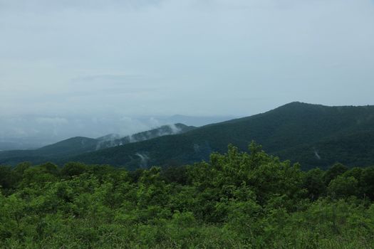 A serene view of mist covering green hills under a cloudy sky, captured in summer.