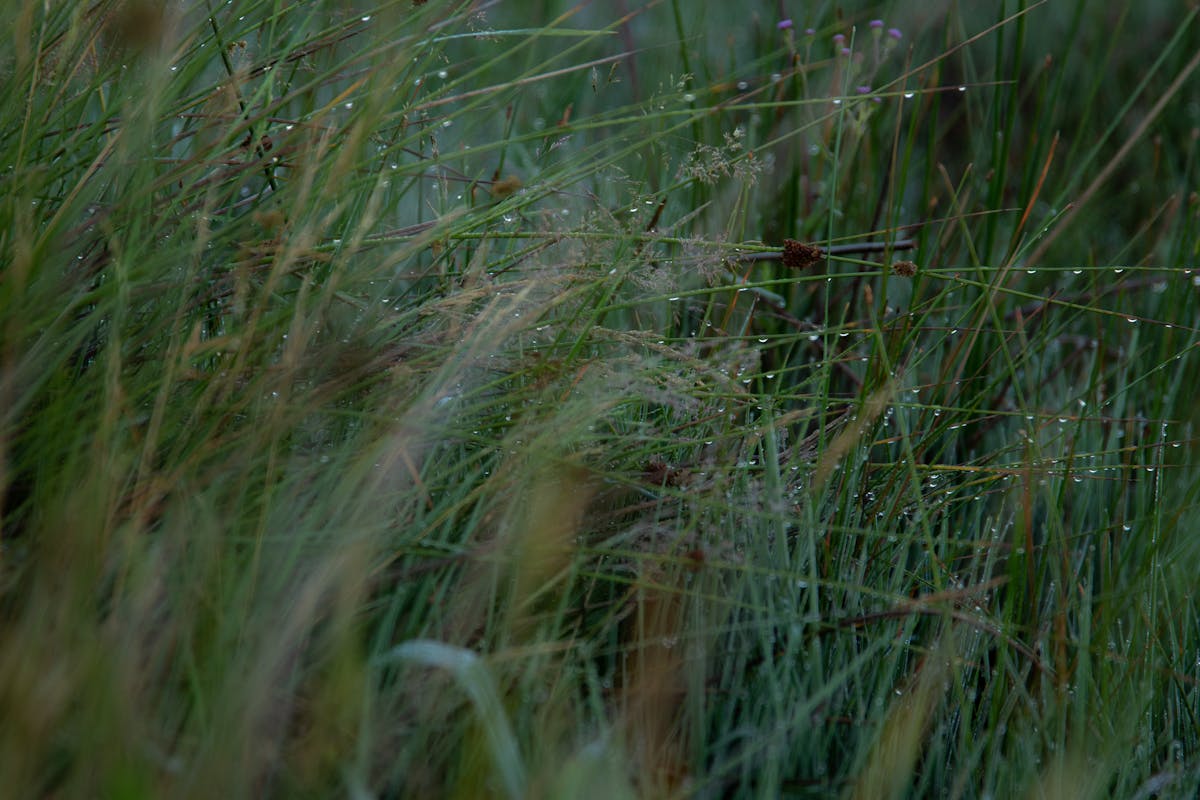 Person journaling next to a cup of tea and fruit, symbolizing mindful health choices