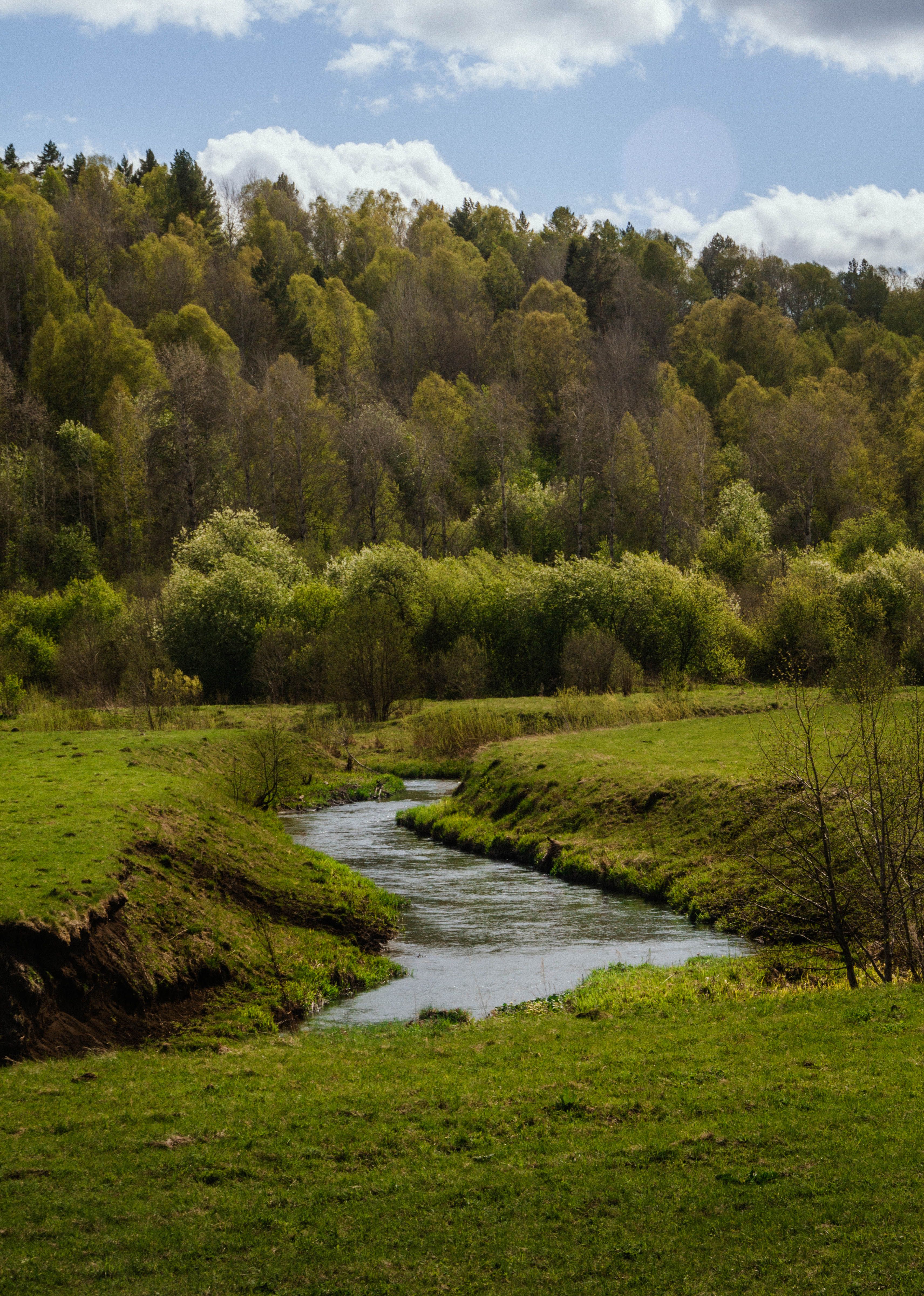 A peaceful river flows through lush greenery in Chelyabinsk, Russia, showcasing nature's tranquility and scenic beauty.