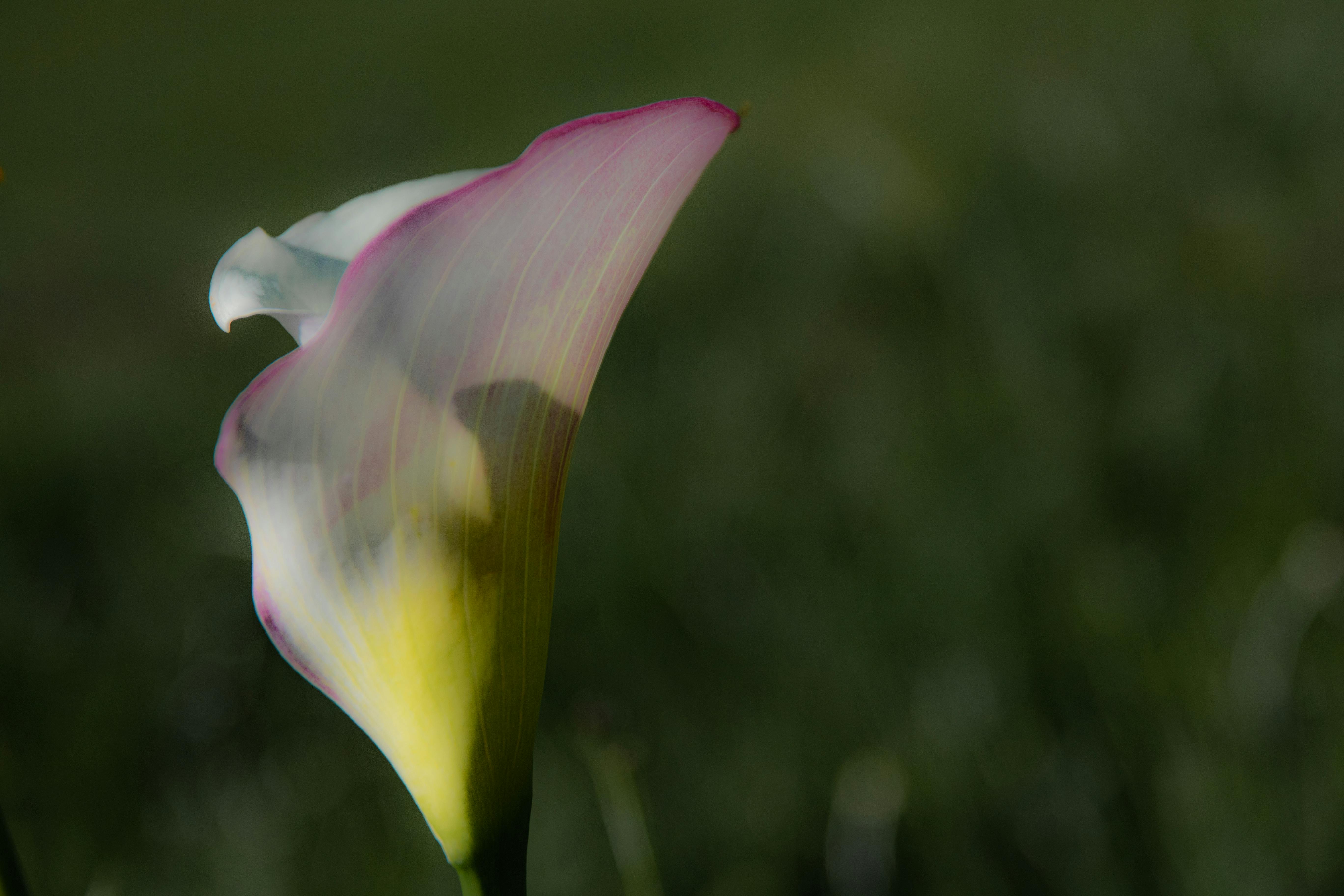 Person practicing yoga and relaxation near a window