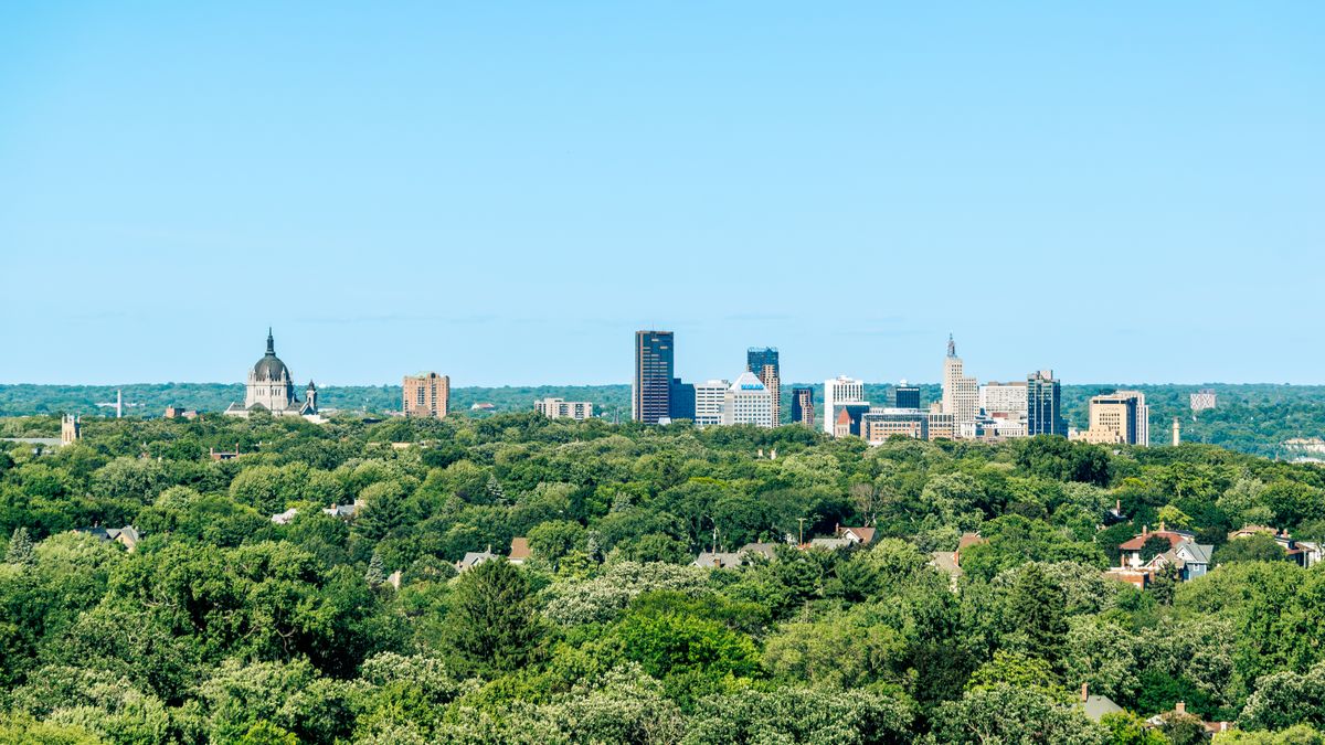 Best Birthday Freebies in Saint Paul, MN: 2026 Local Guide