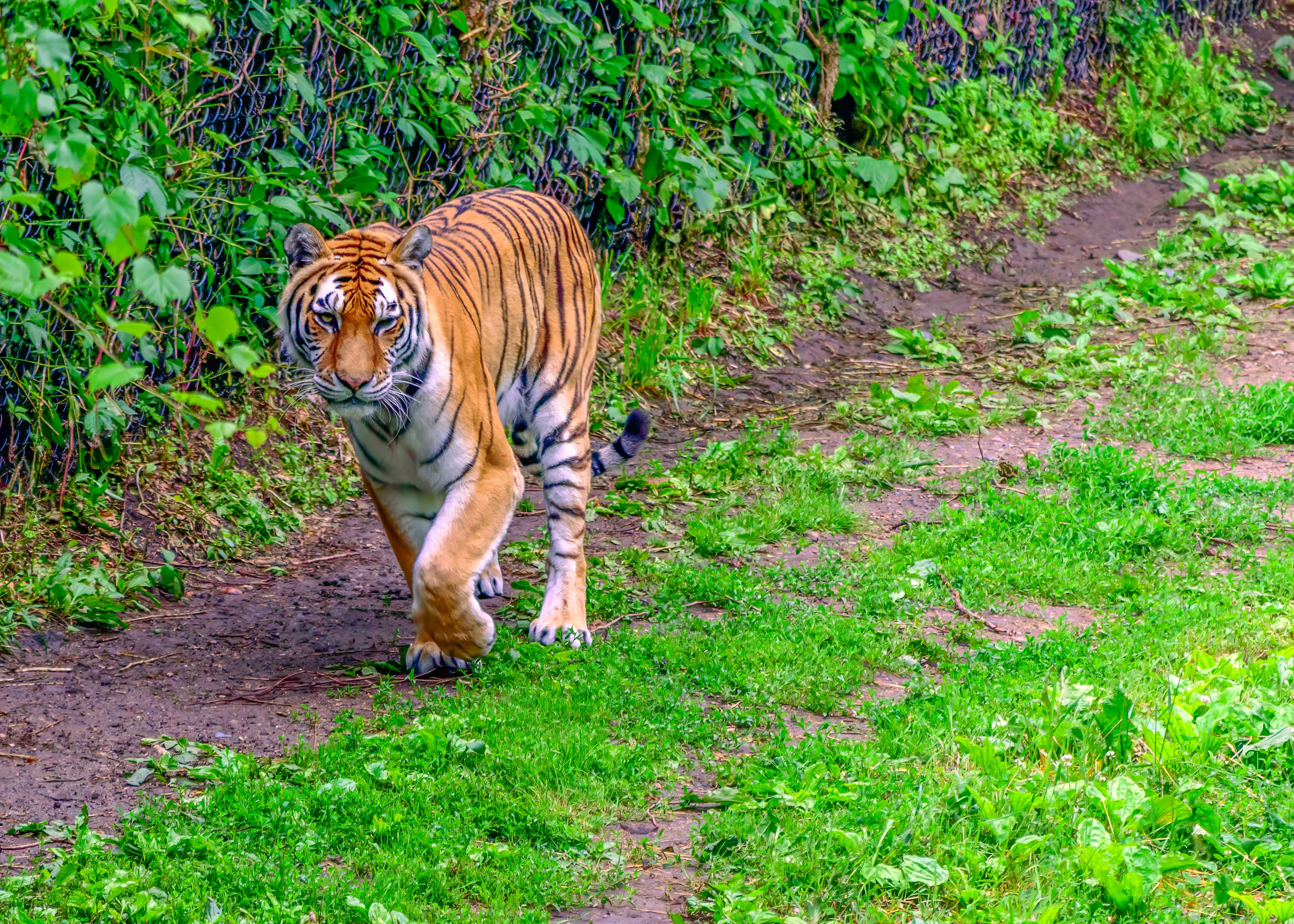 tiger 부동산리츠인프라