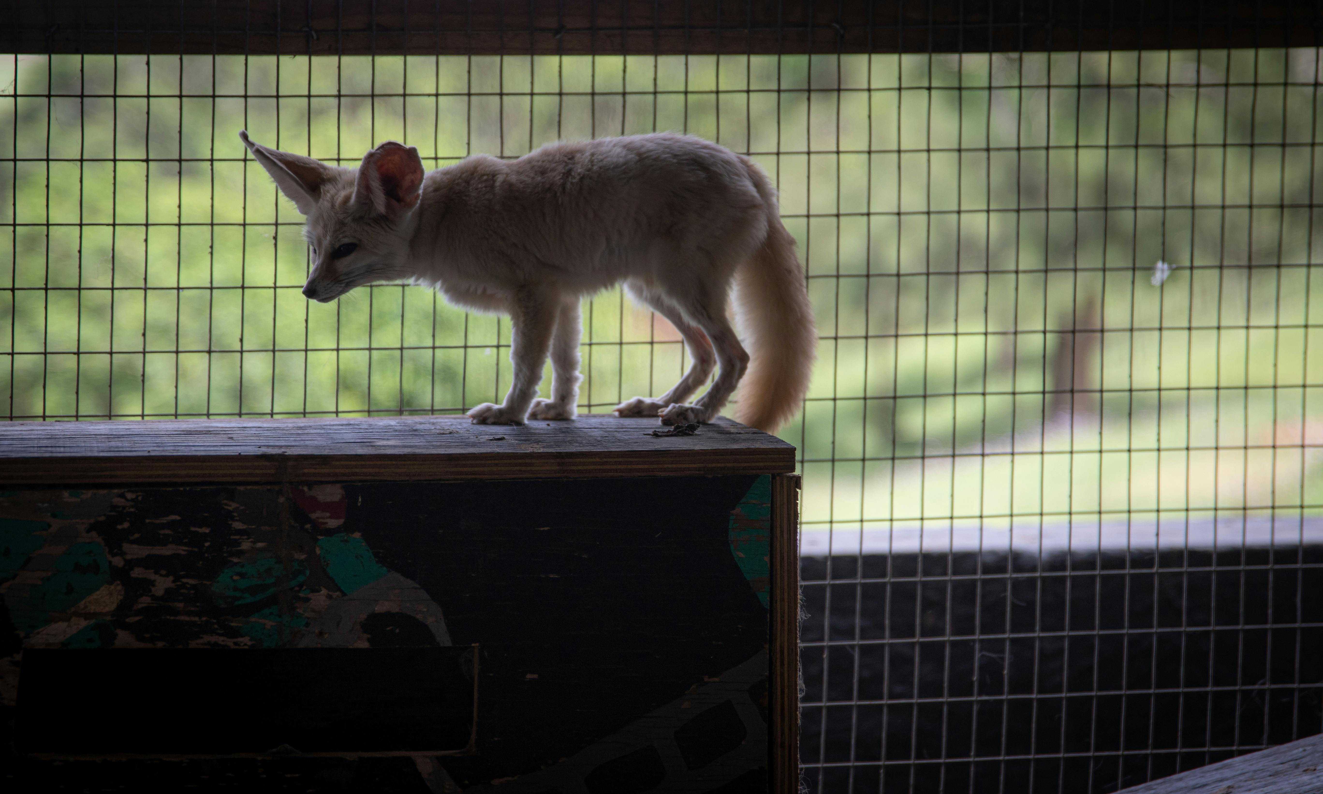 一个人在瑜伽垫上进行放松练习