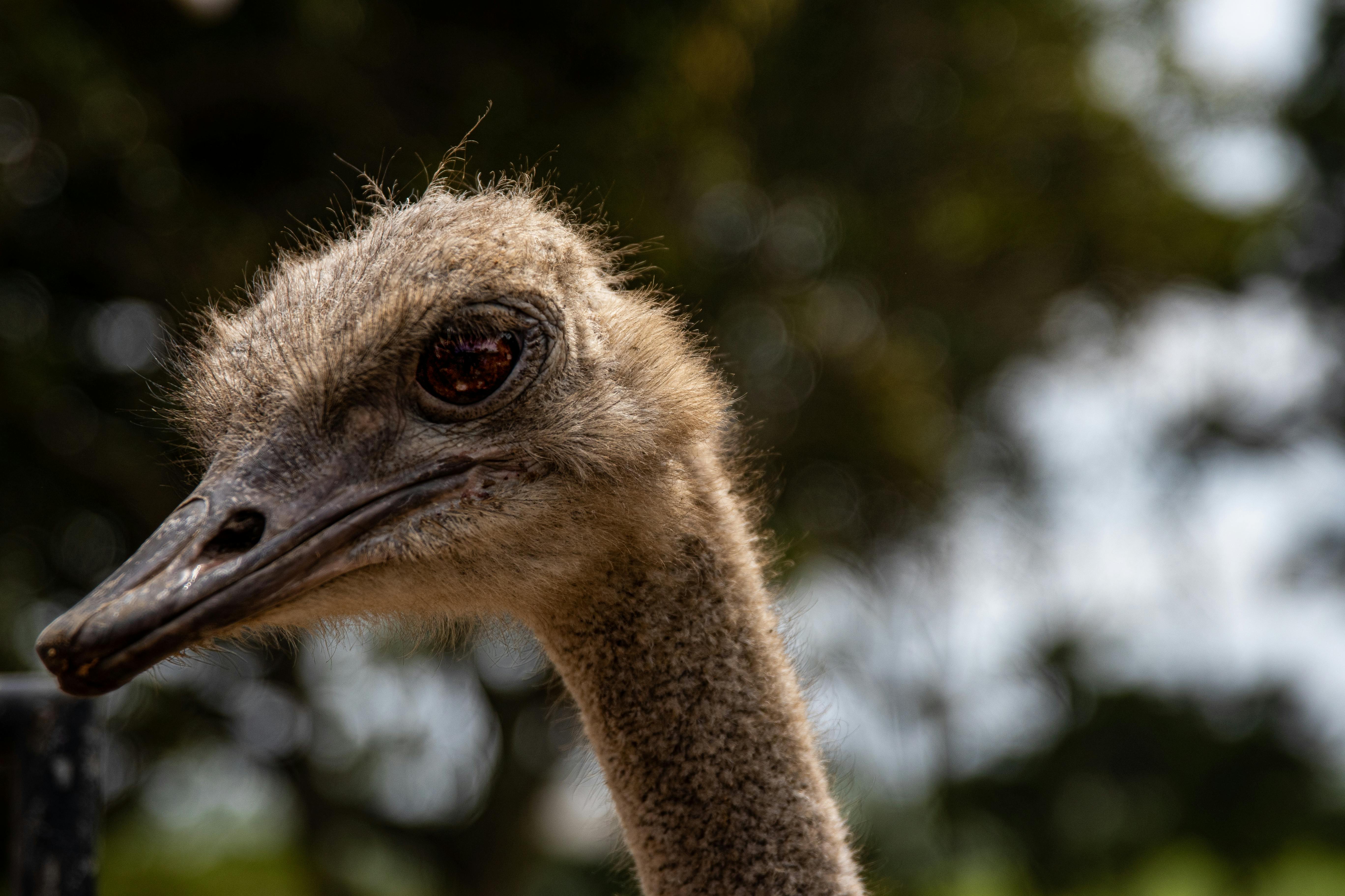 Aromatherapy session