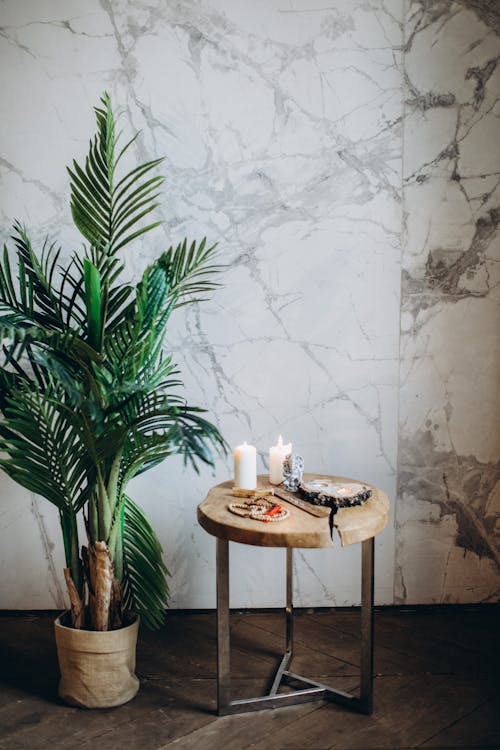 Plant Next to Brown Wooden Table