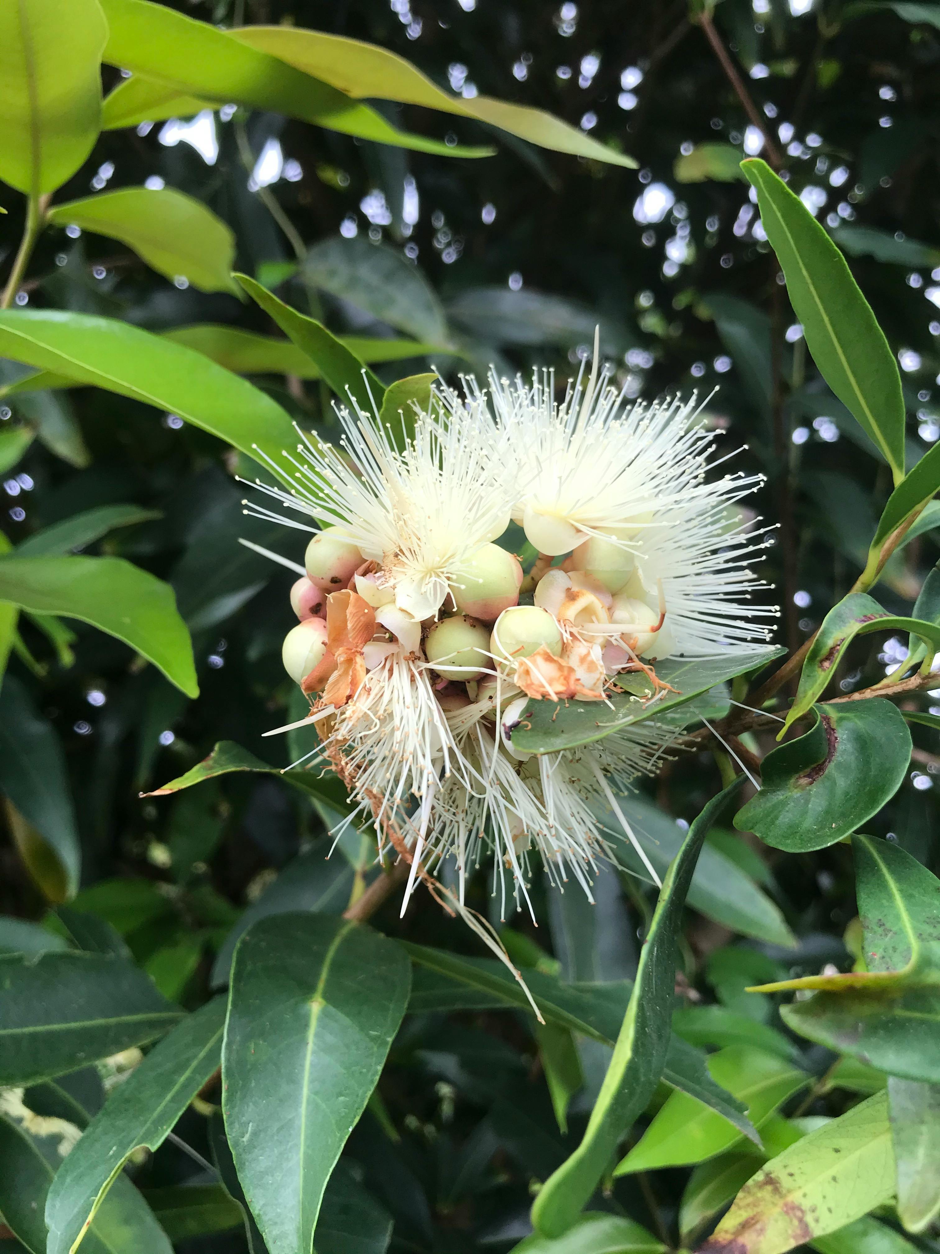 Person meditiert am Morgen