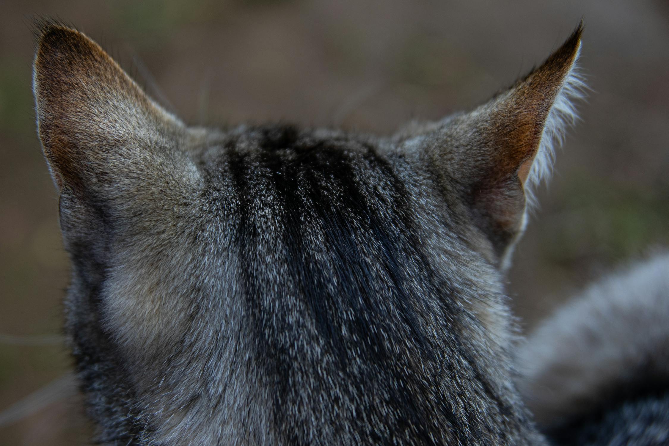 Woman practicing yoga and meditation, symbolizing mindful living