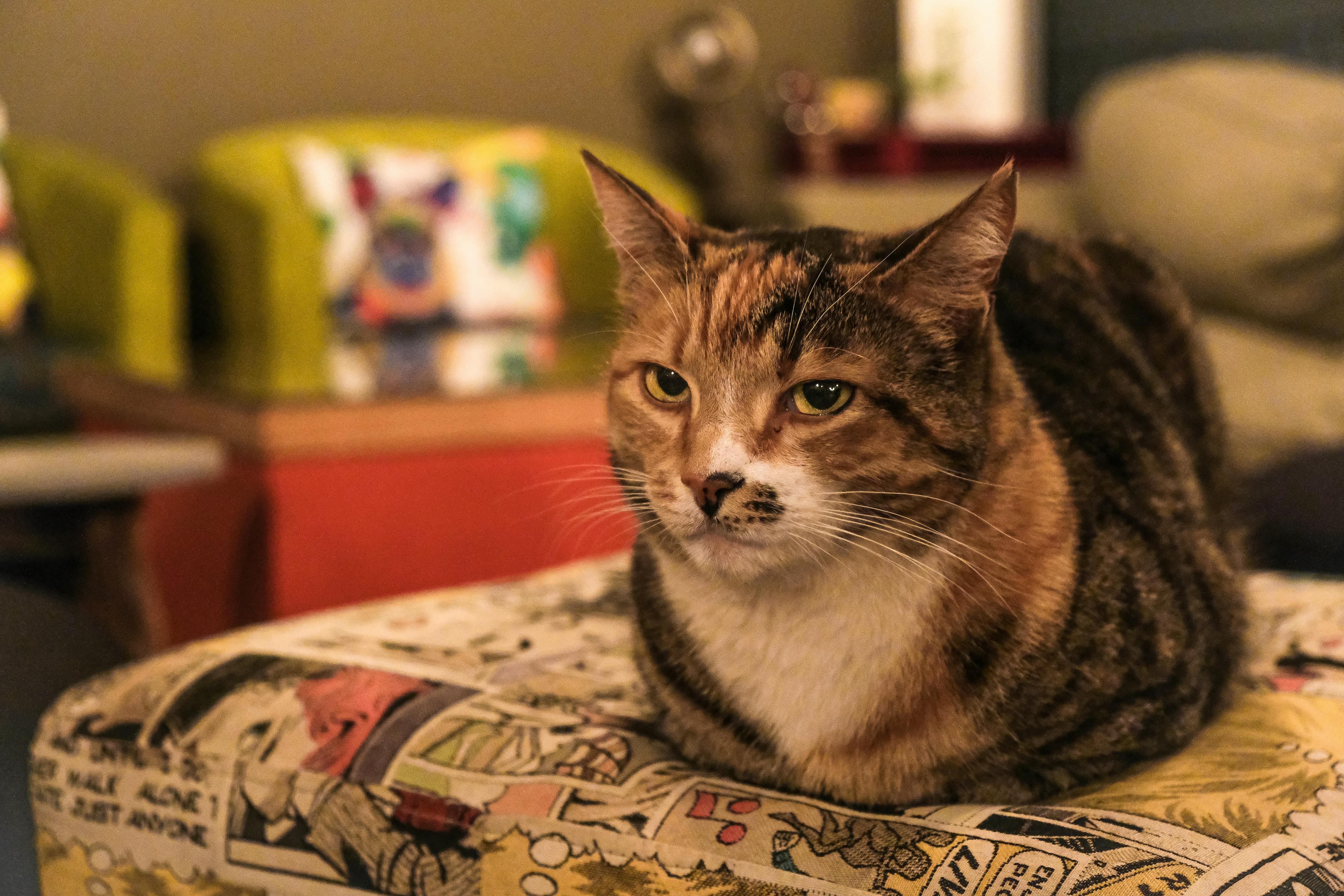 Mulher meditando com um tablet, simbolizando o uso de aplicações de meditação.
