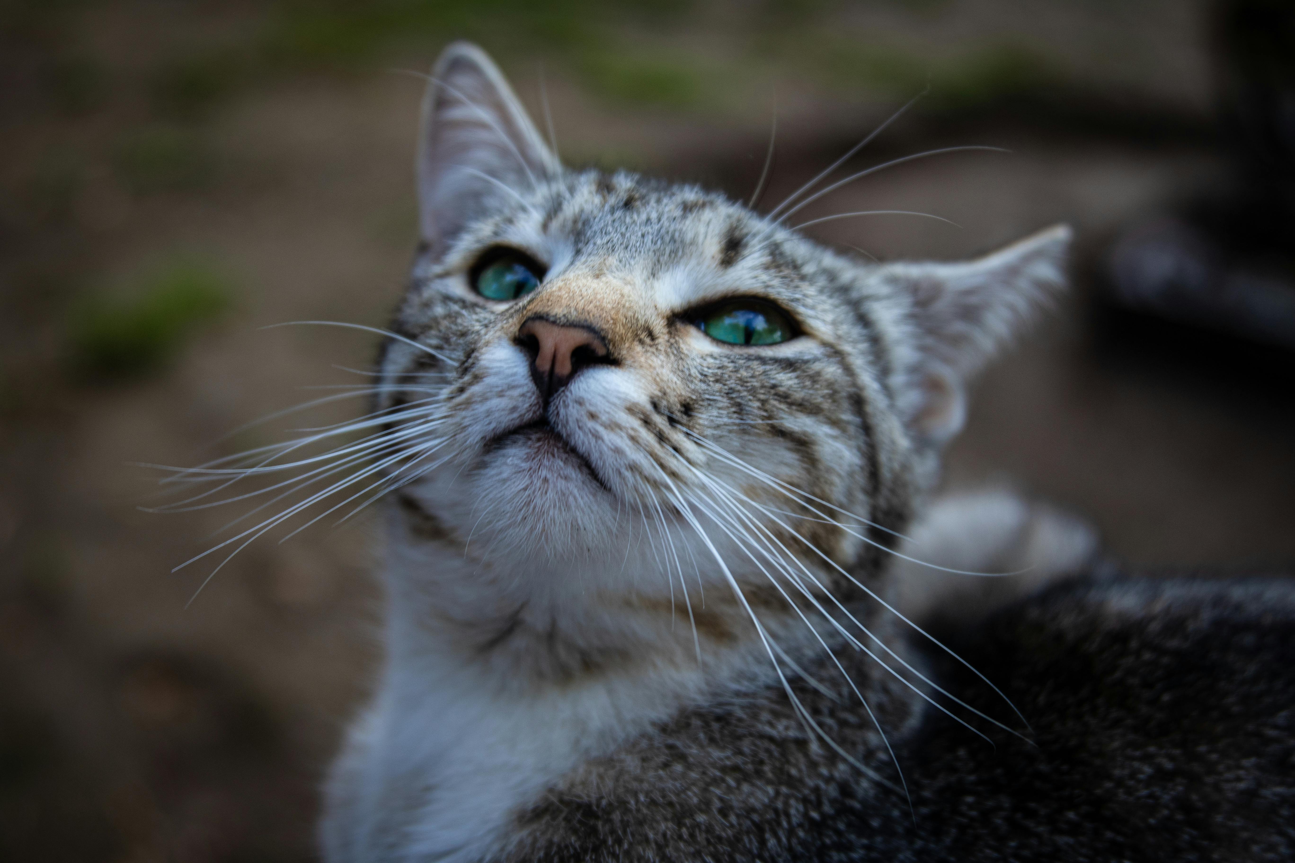 Pessoa praticando respiração consciente em um ambiente calmo.