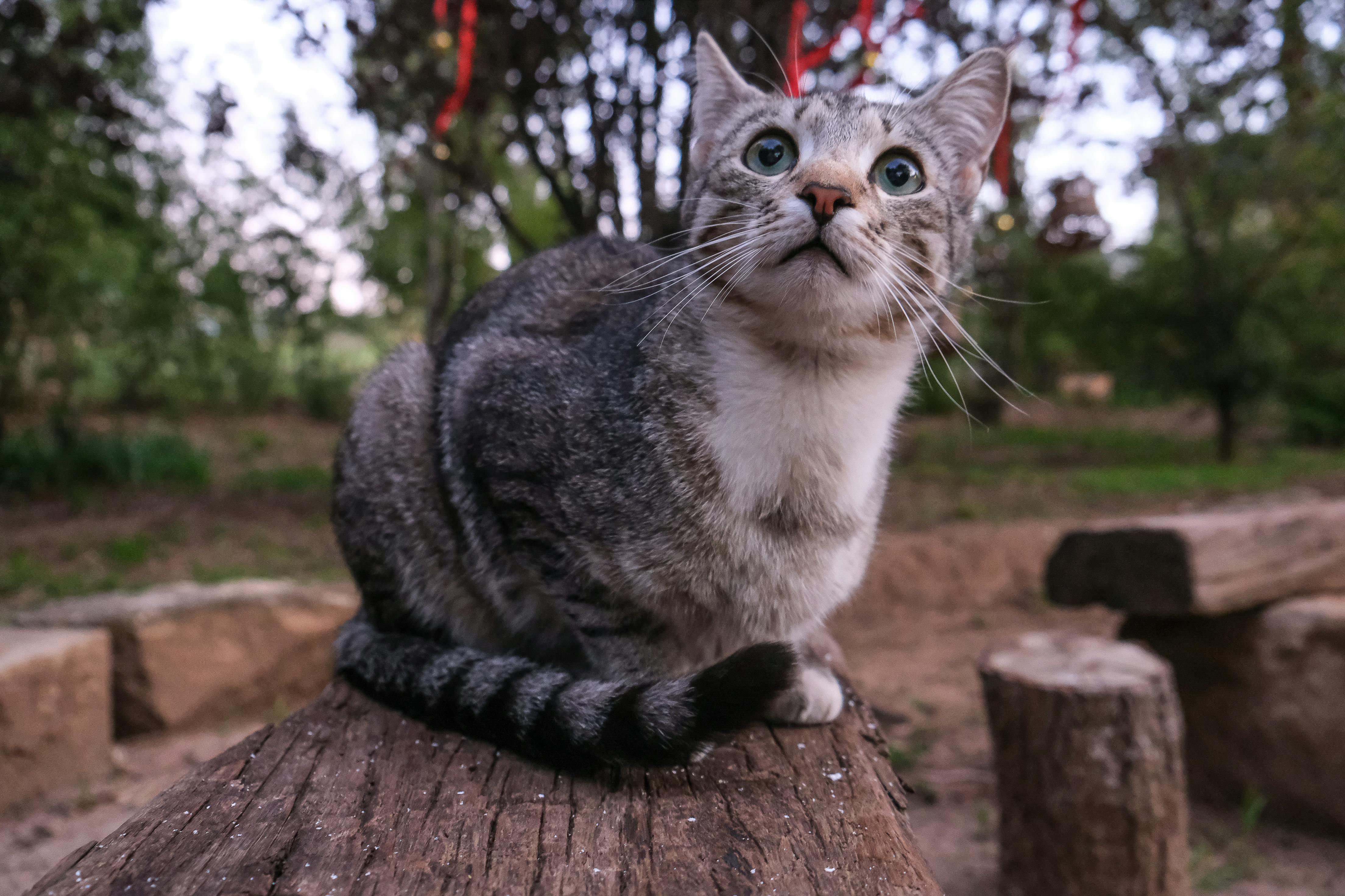 女性が瞑想している様子