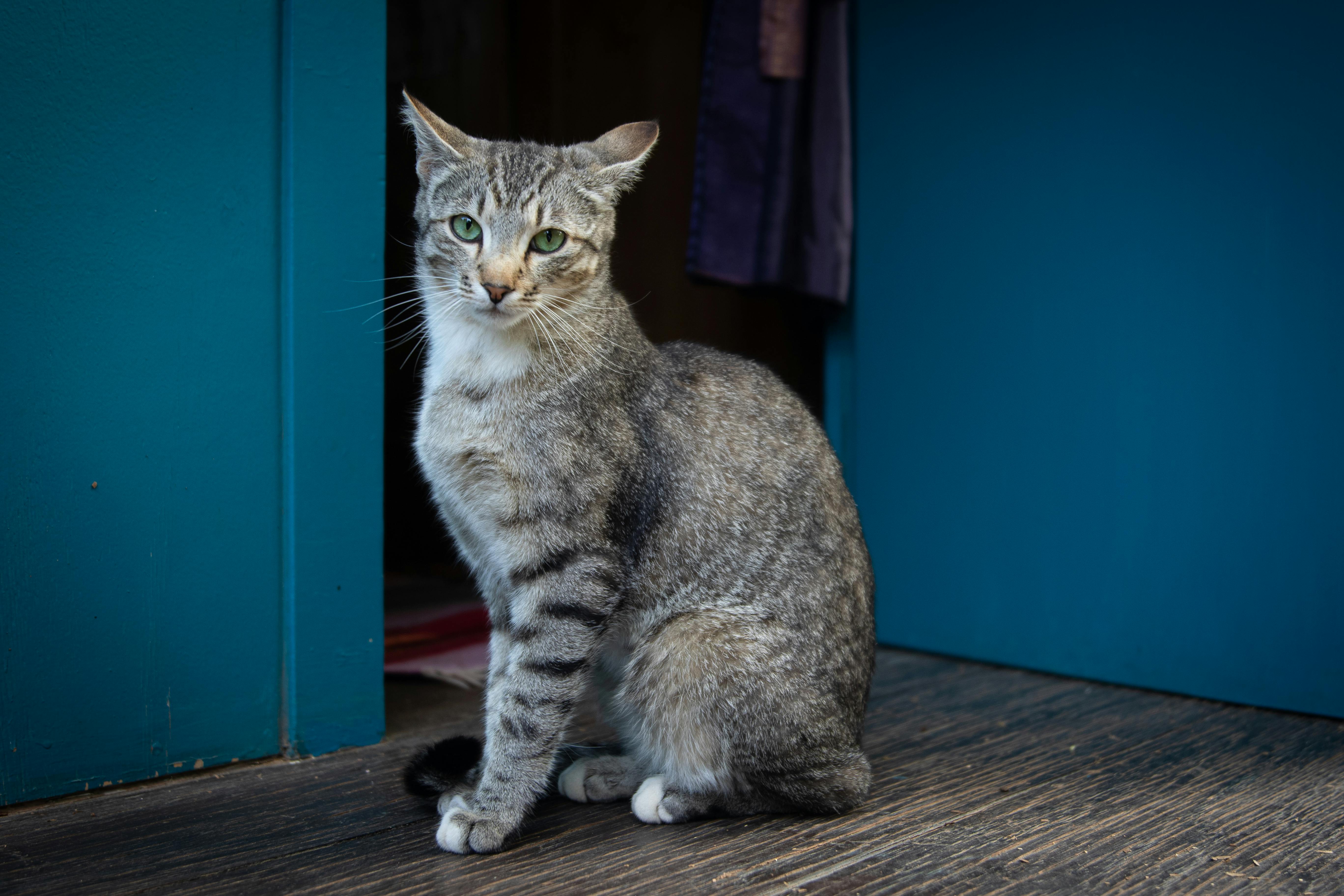 People practicing Tai Chi in a park