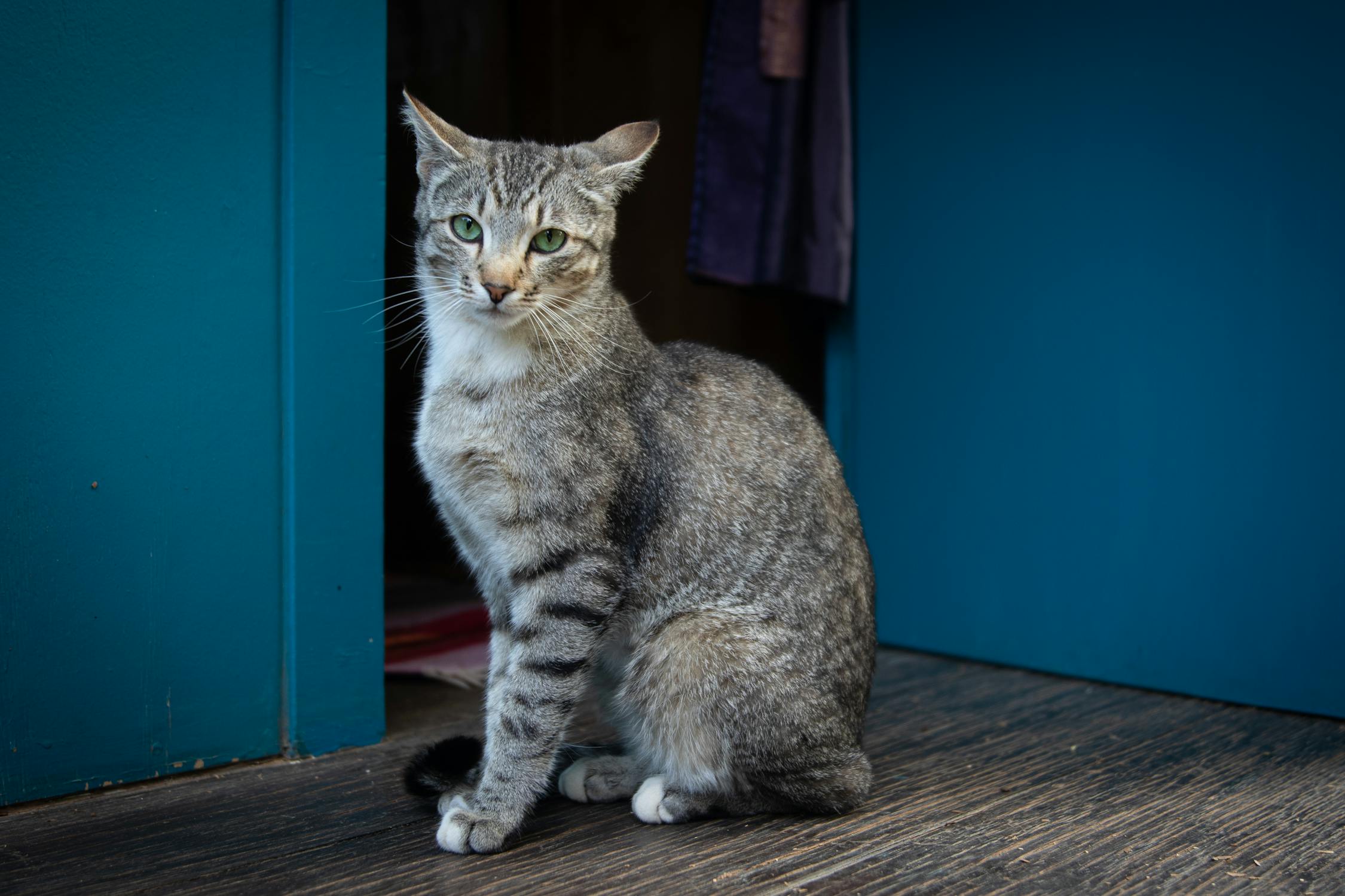 Une personne écrivant dans un carnet avec une tasse de café, symbolisant la planification matinale