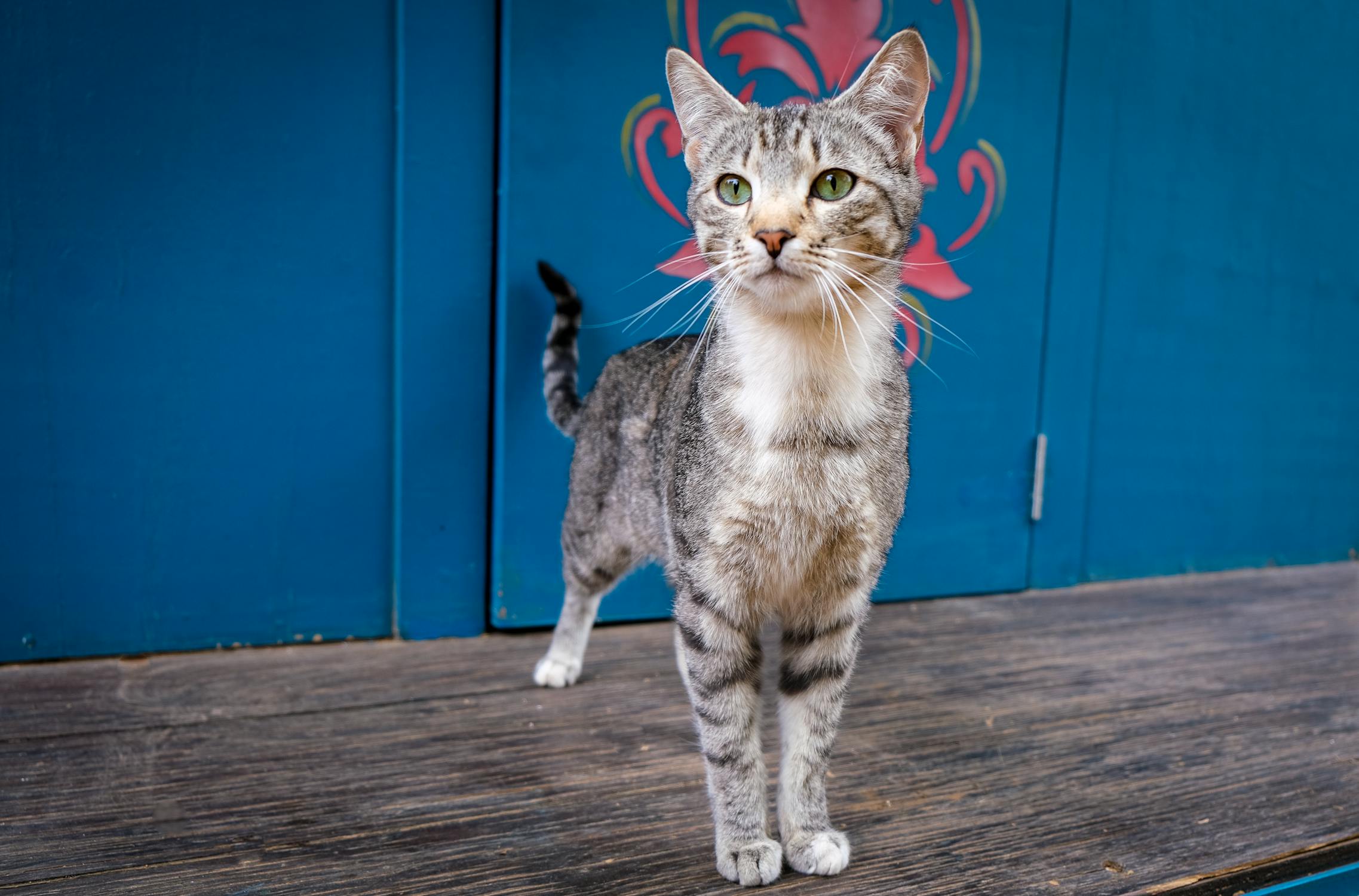 Femme méditant dans une posture sereine