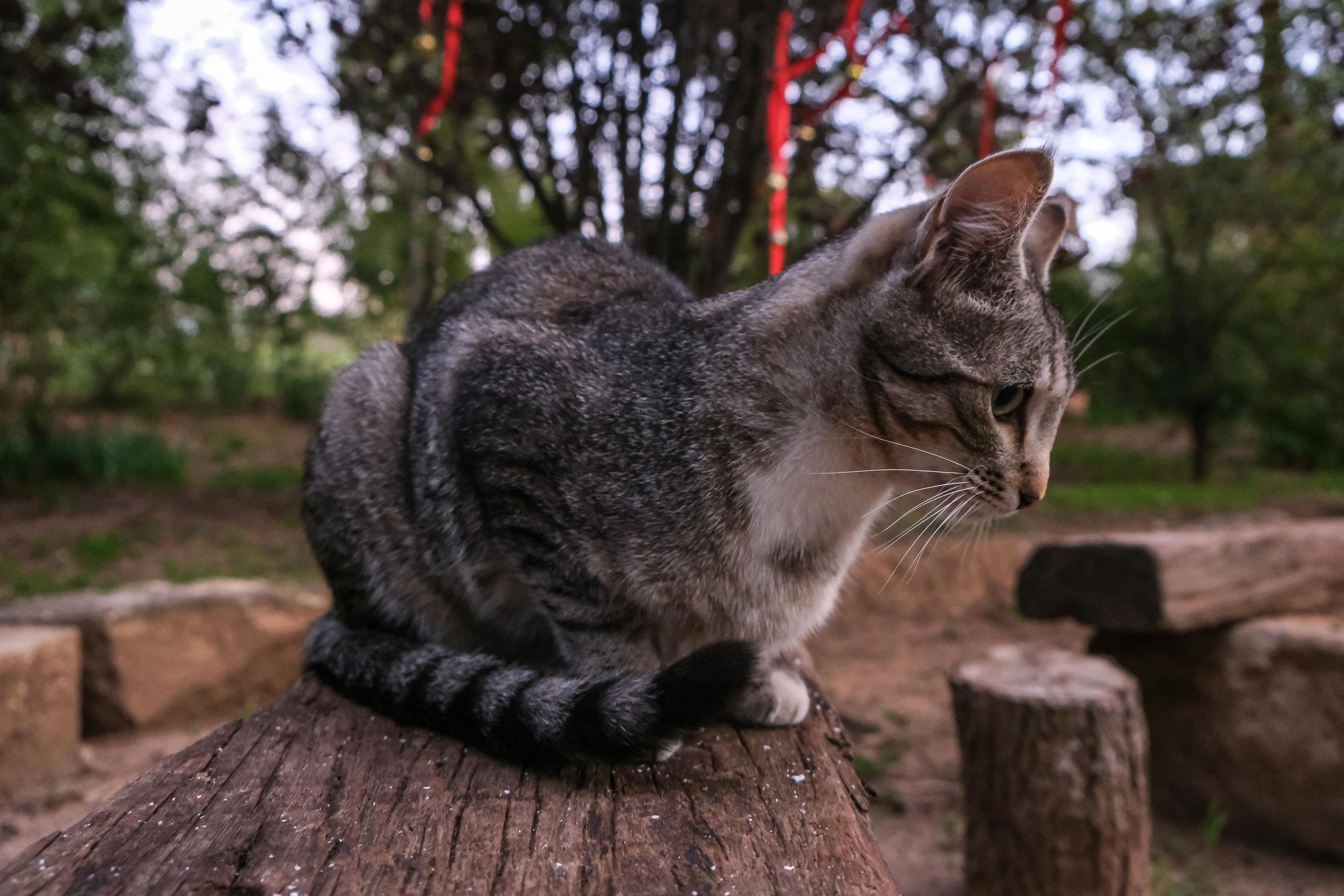 Personne faisant du yoga en plein air au lever du soleil