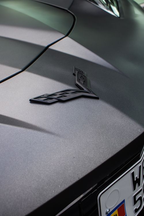 Free Detailed view of an elegant sports car logo and license plate in Chișinău, Moldova. Stock Photo