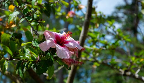 Free stock photo of portugal Stock Photo