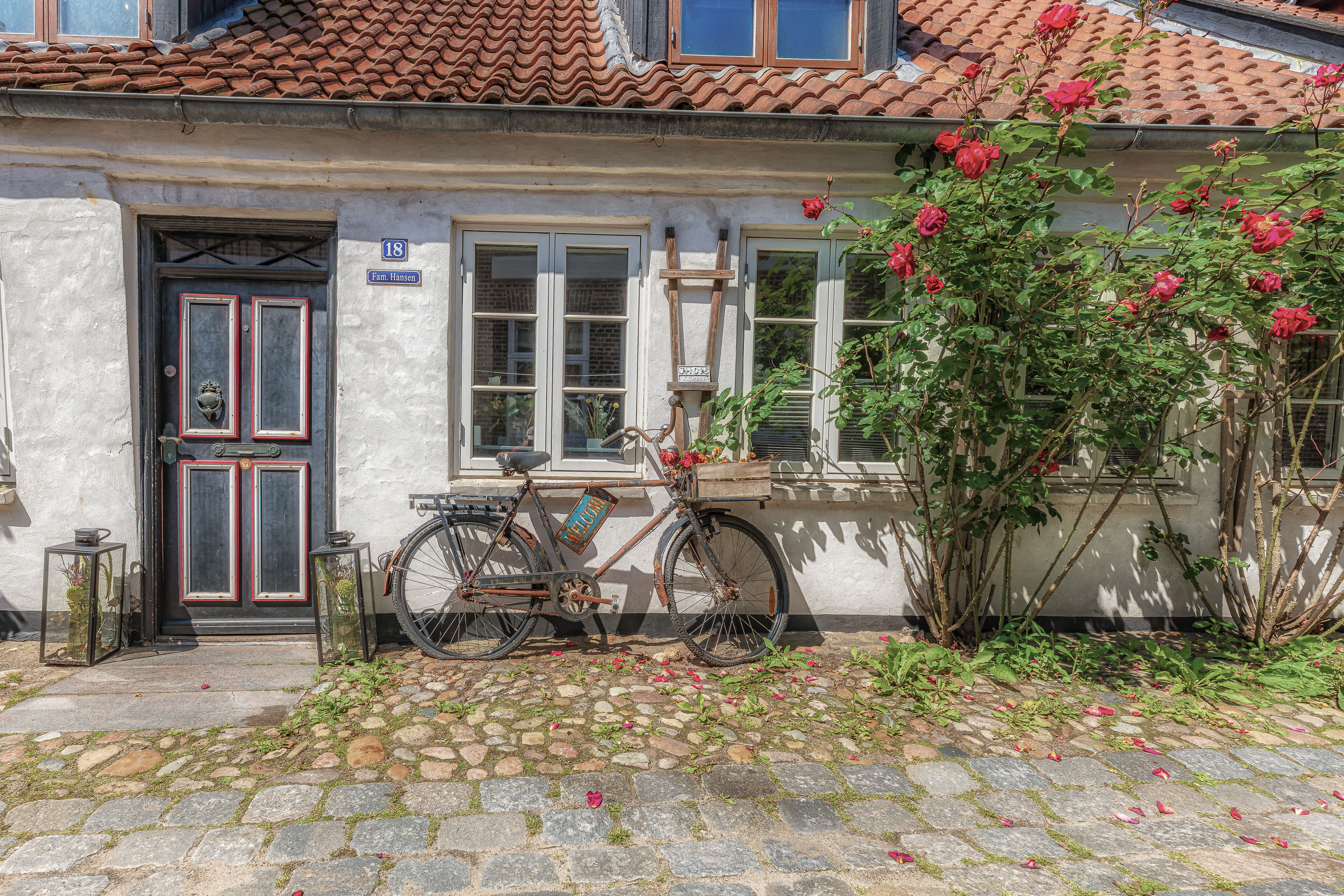 Vintage bicycle leaning against a charming white house with roses, Ribe, Denmark.
