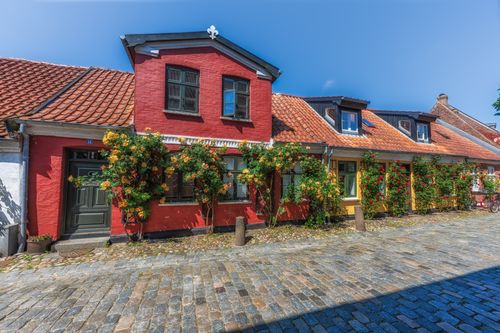 Free Colorful historic houses with roses in Ribe, Denmark, showcasing charming architecture. Stock Photo